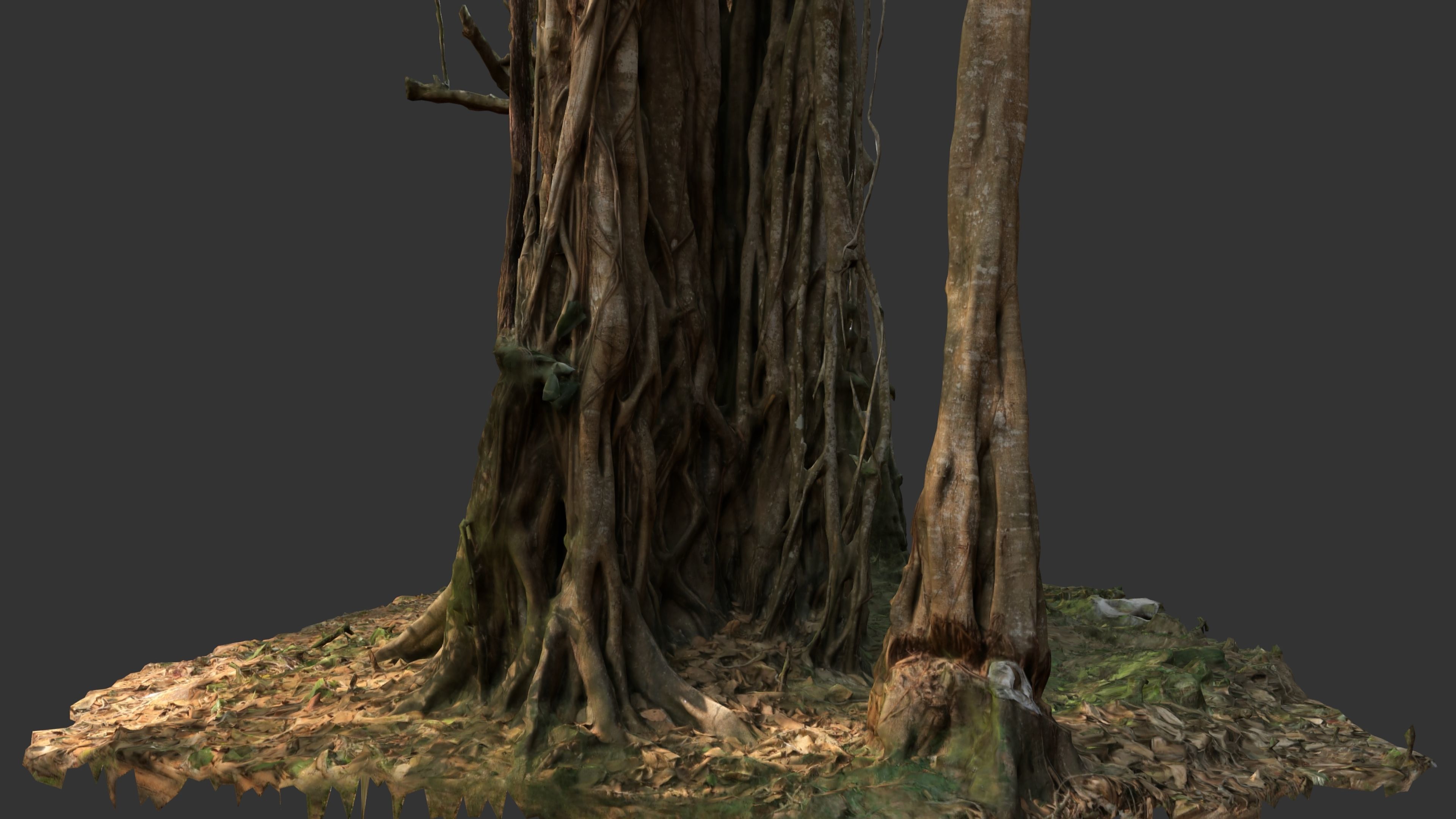 Banyan Tree Trunk Low-poly 3D model_17