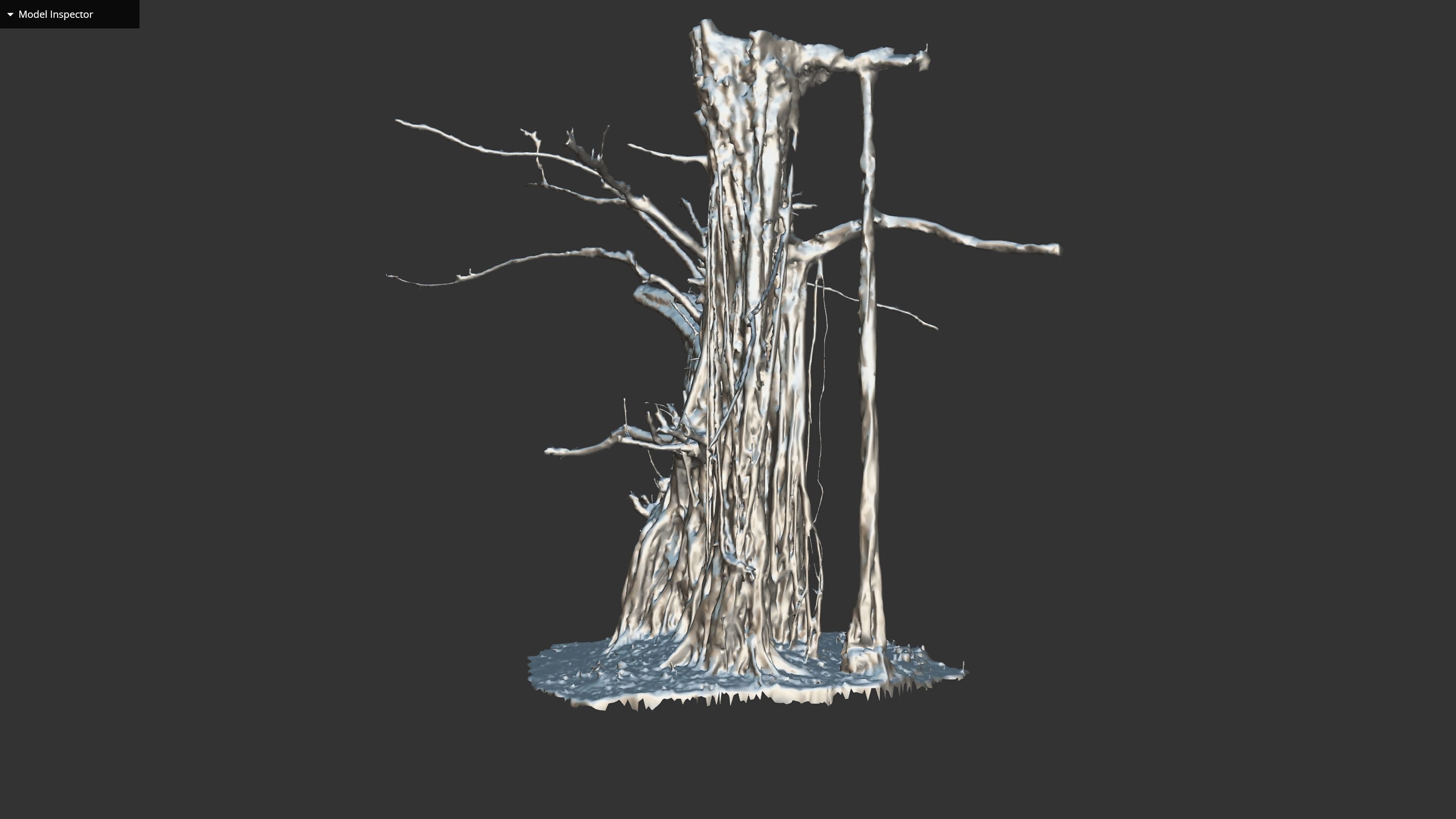 Banyan Tree Trunk Low-poly 3D model_30