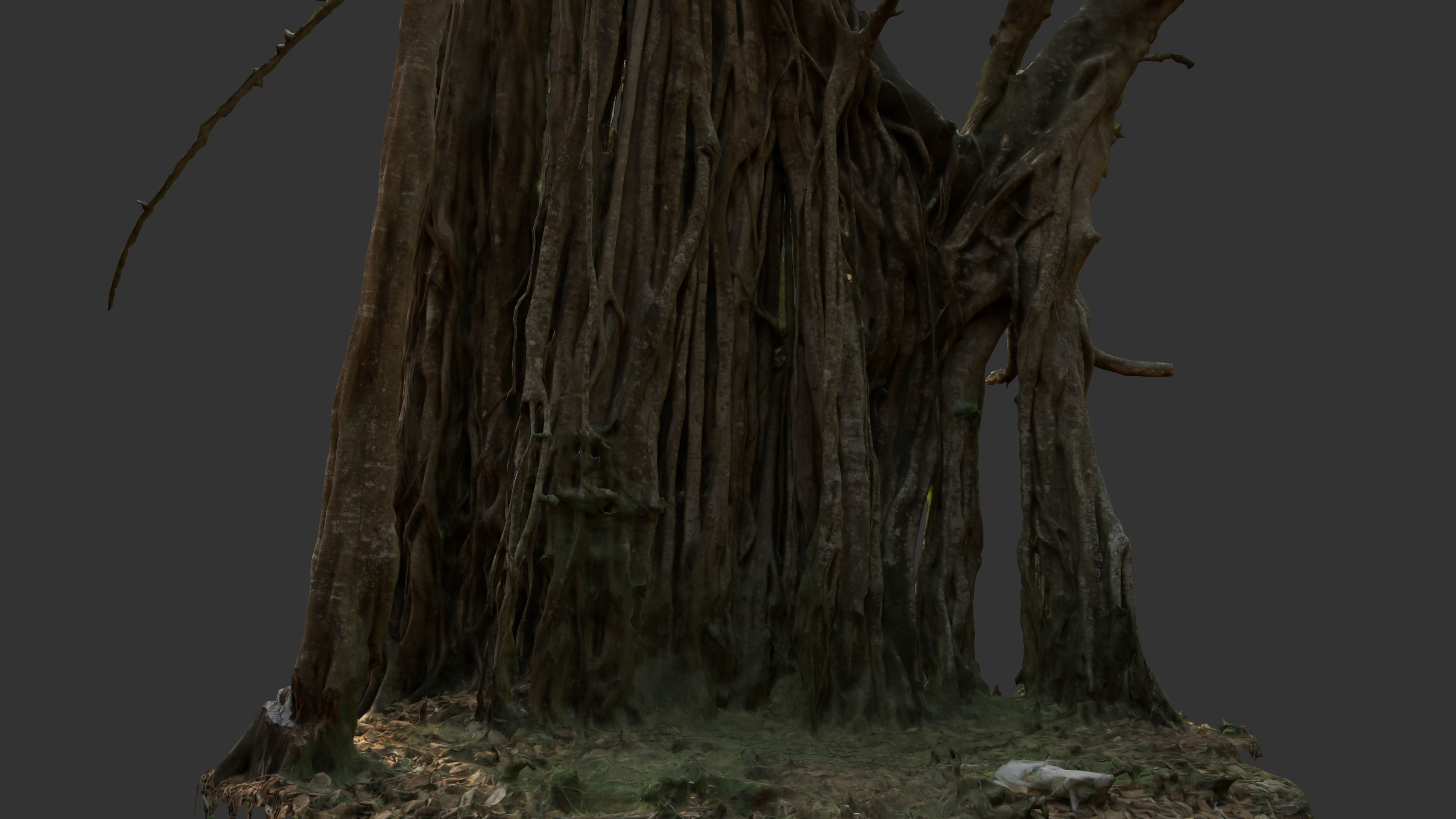 Banyan Tree Trunk Low-poly 3D model_12