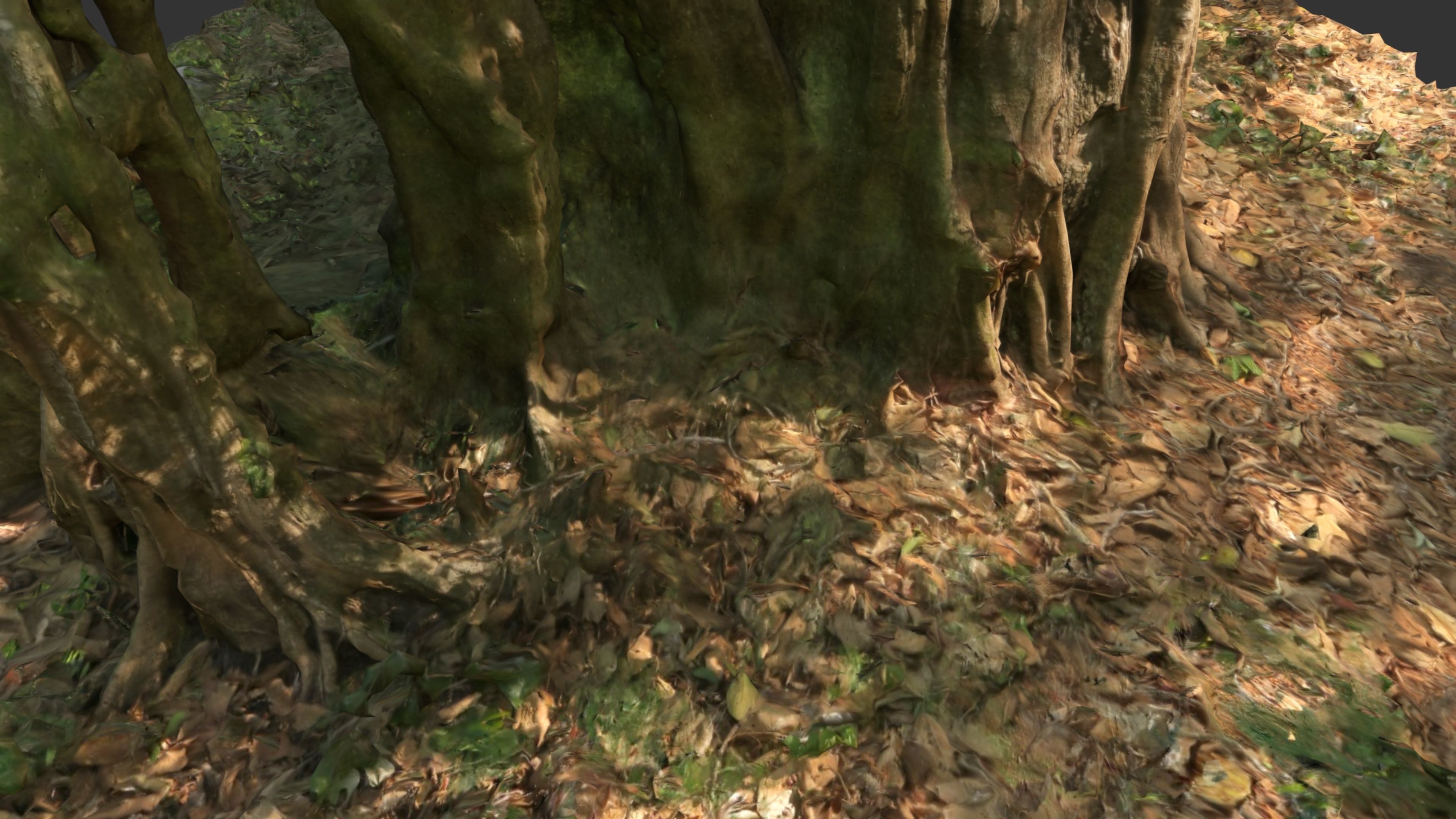Banyan Tree Trunk Low-poly 3D model_21