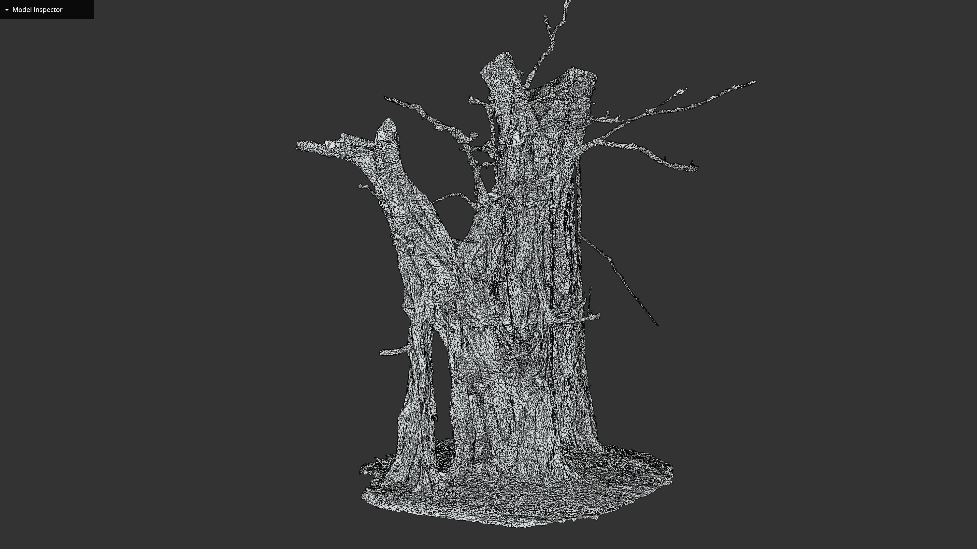 Banyan Tree Trunk Low-poly 3D model_35