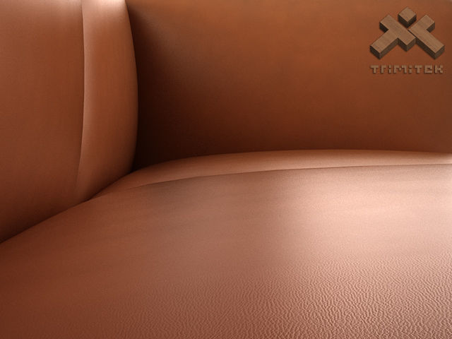 Sofa by Walter Knoll 3D model_4