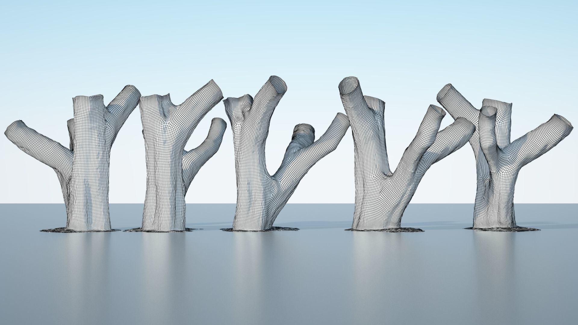 Tree Trunk - 10 3D model_5