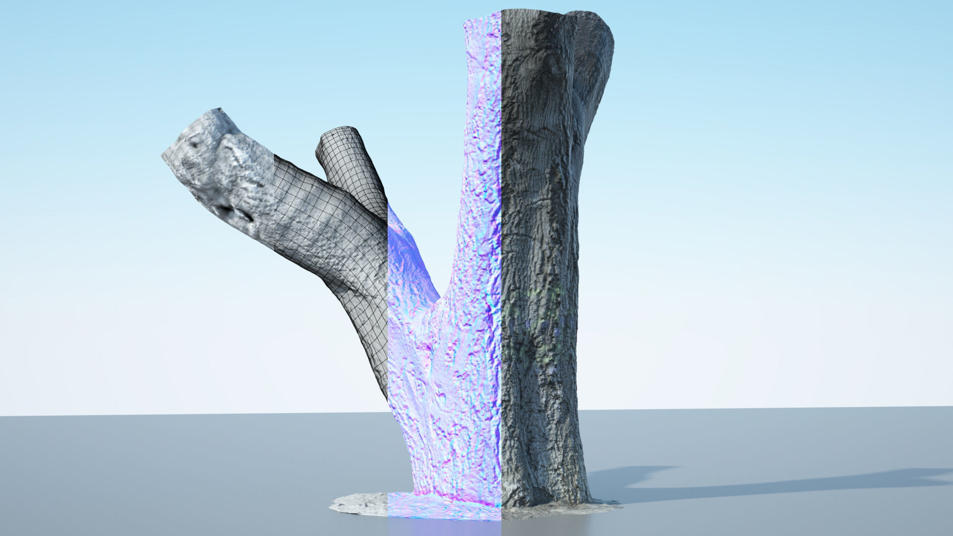 Tree Trunk - 10 3D model_11