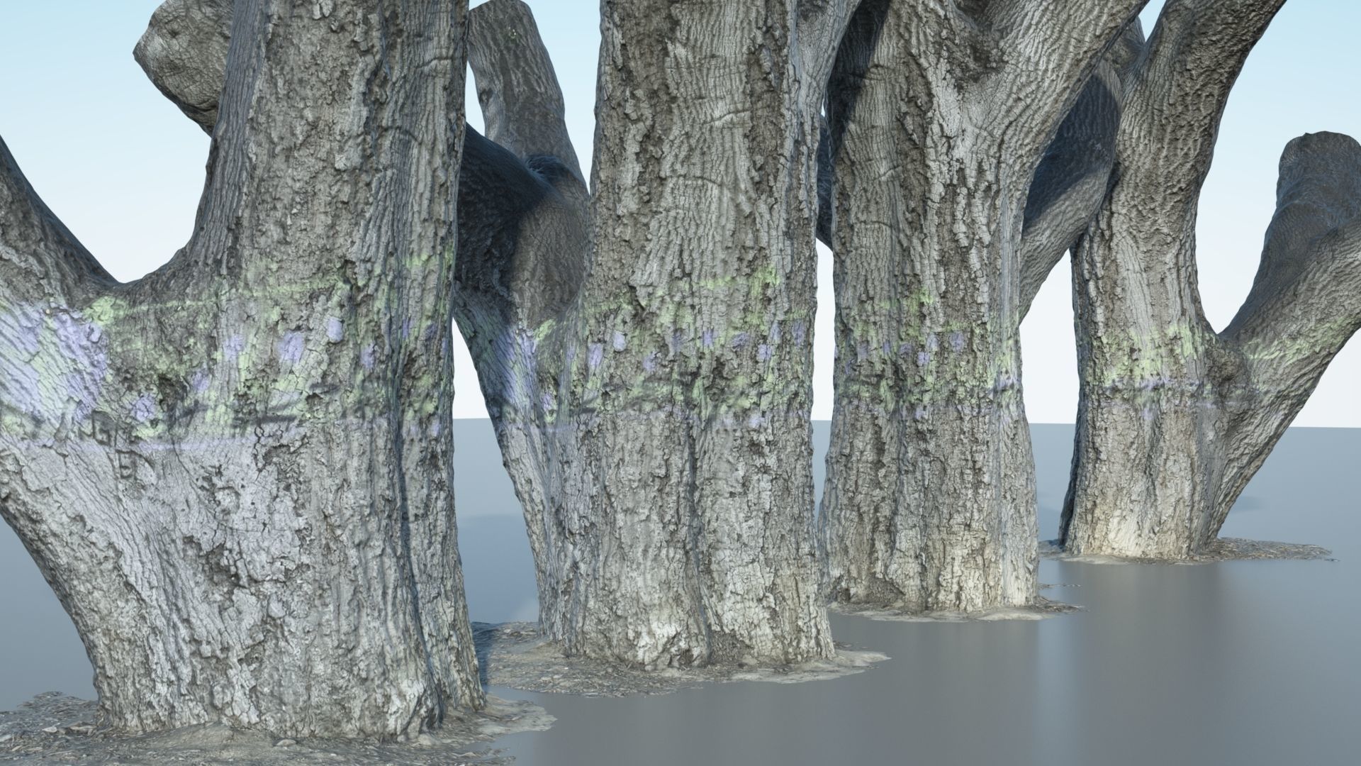 Tree Trunk - 10 3D model_2