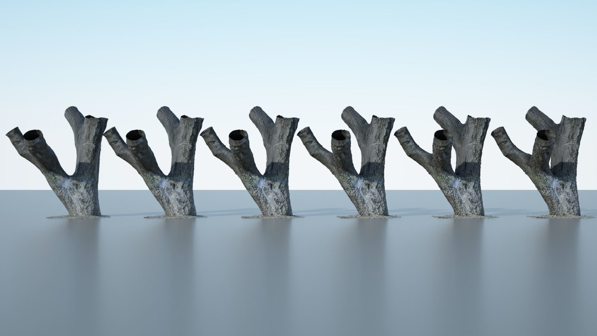 Tree Trunk - 10 3D model_3