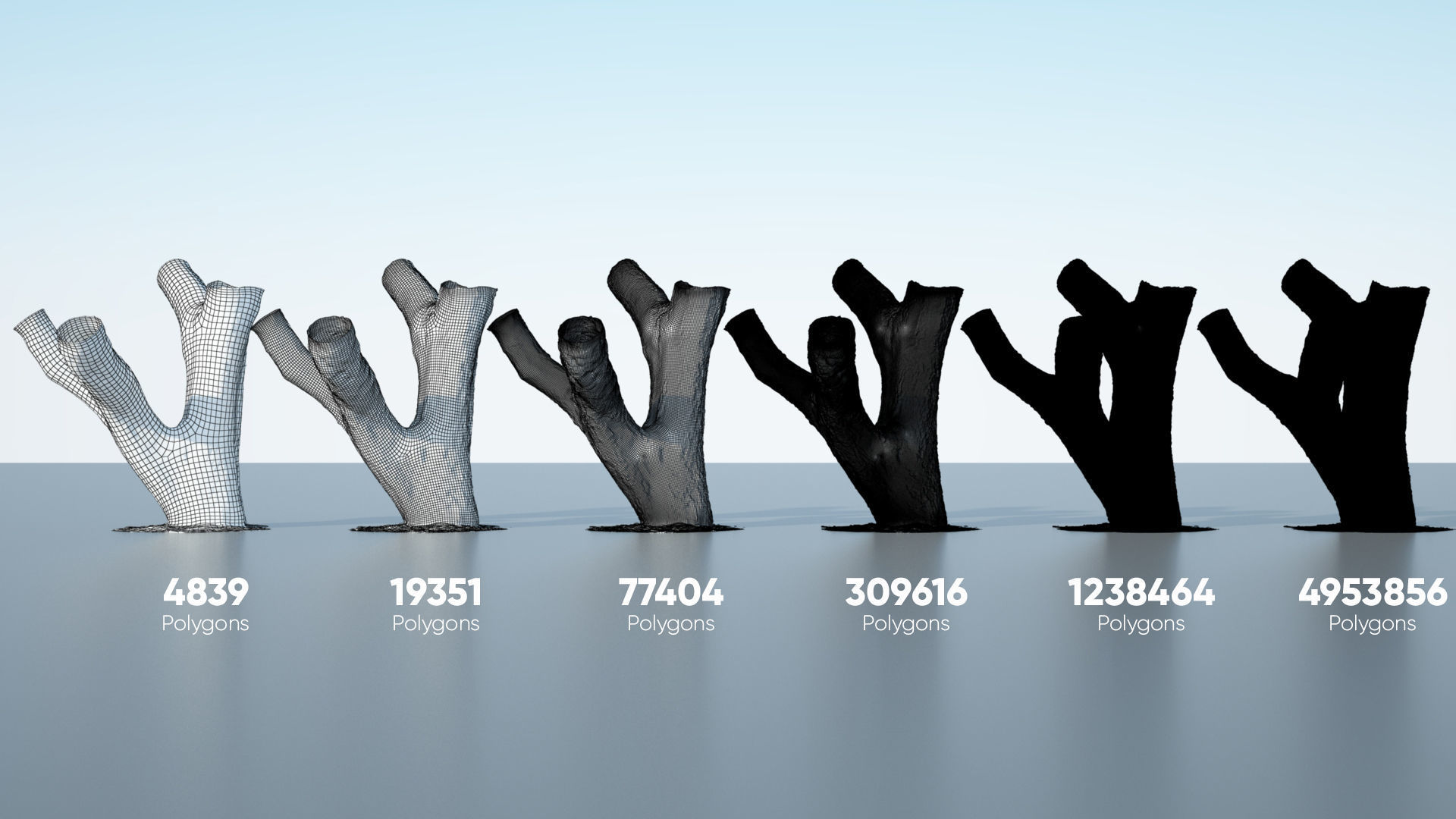 Tree Trunk - 10 3D model_1