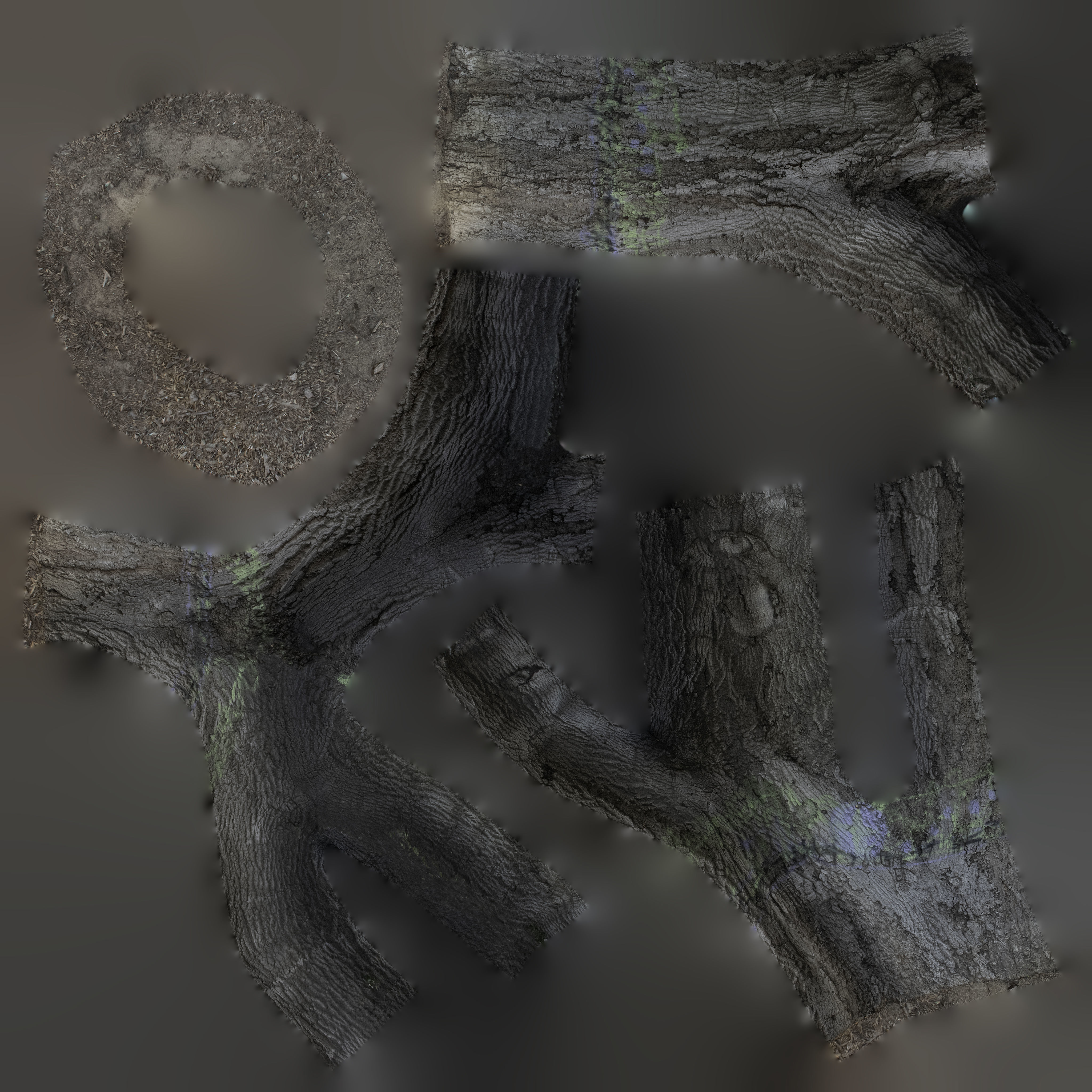 Tree Trunk - 10 3D model_15