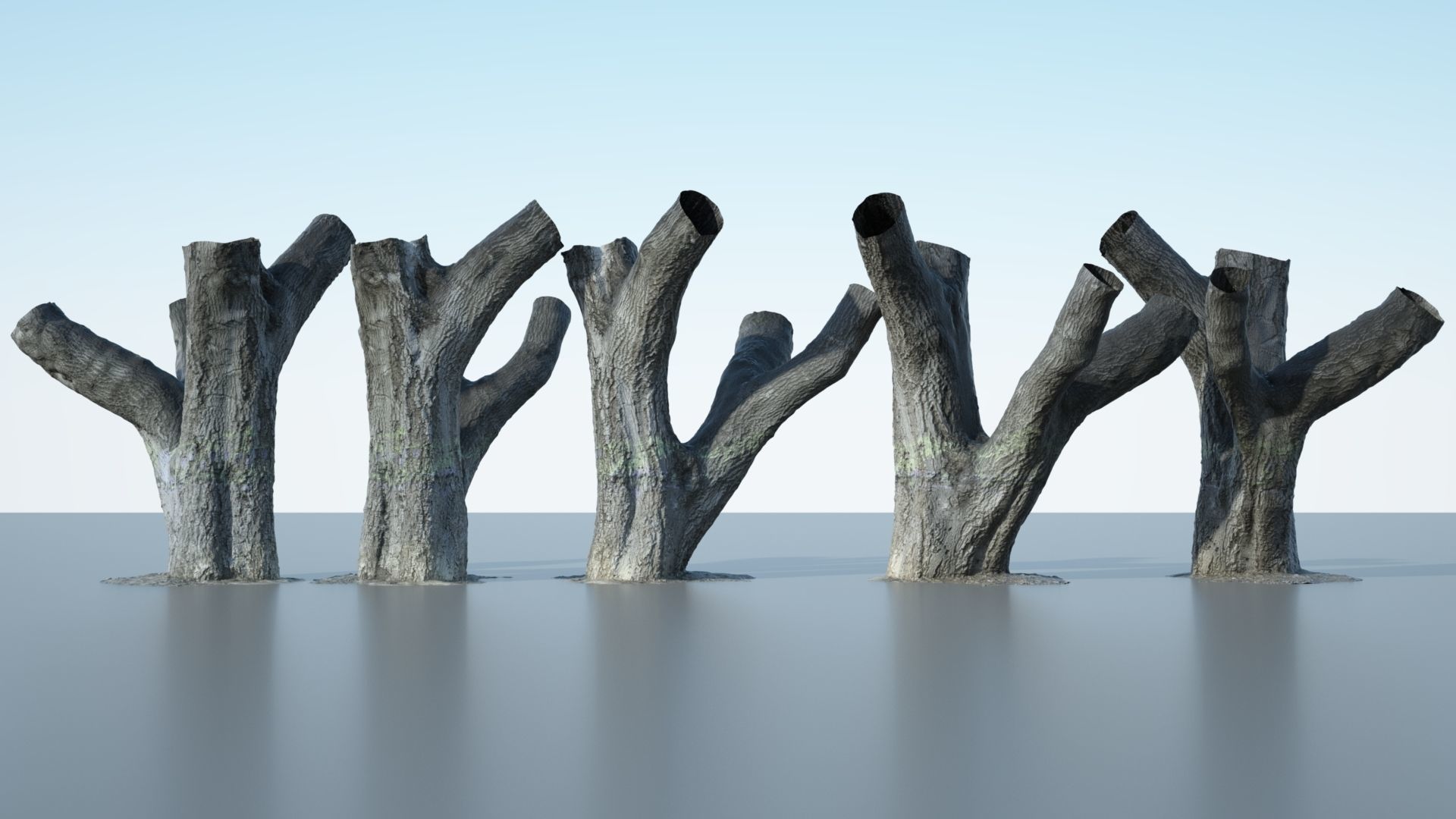 Tree Trunk - 10 3D model_4