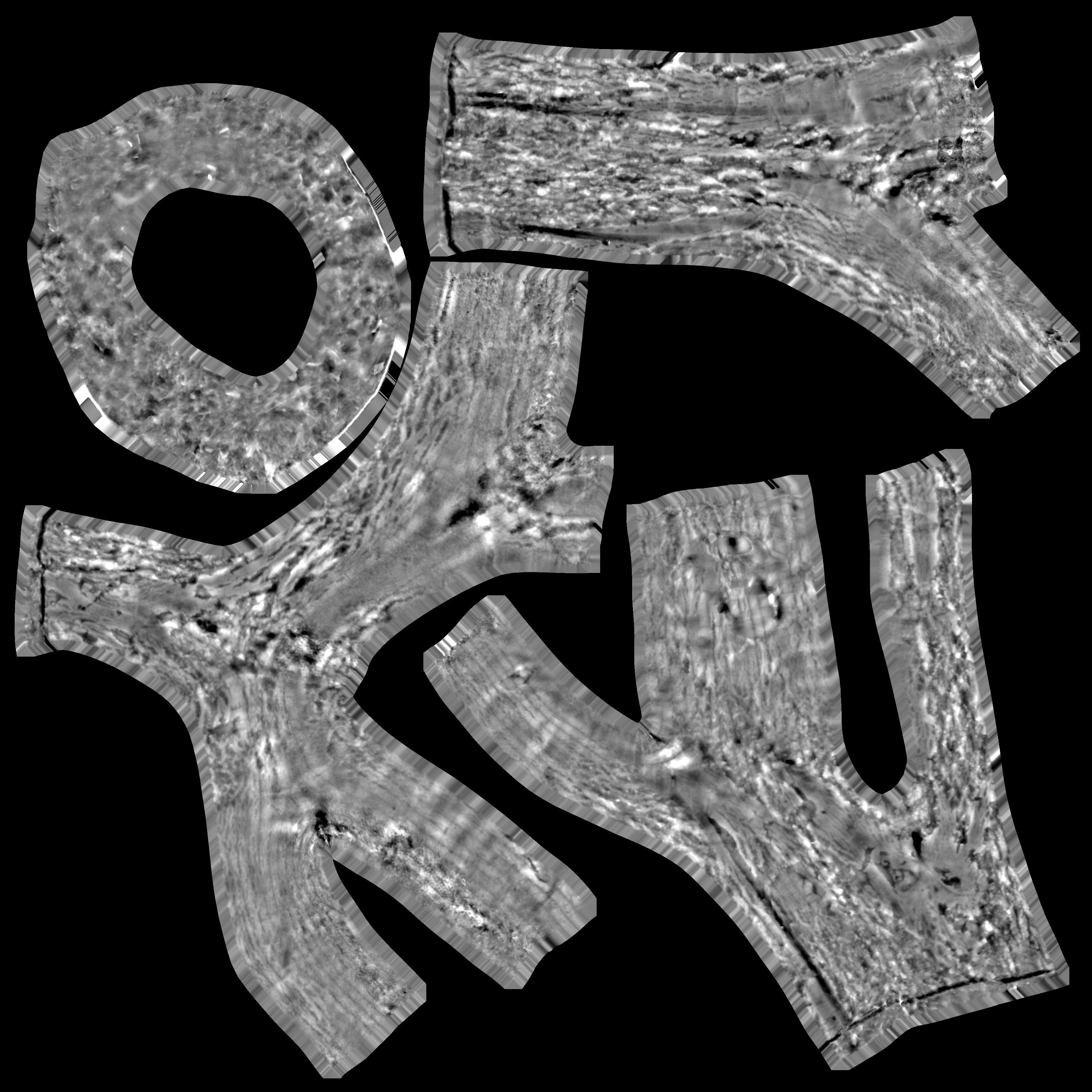 Tree Trunk - 10 3D model_18