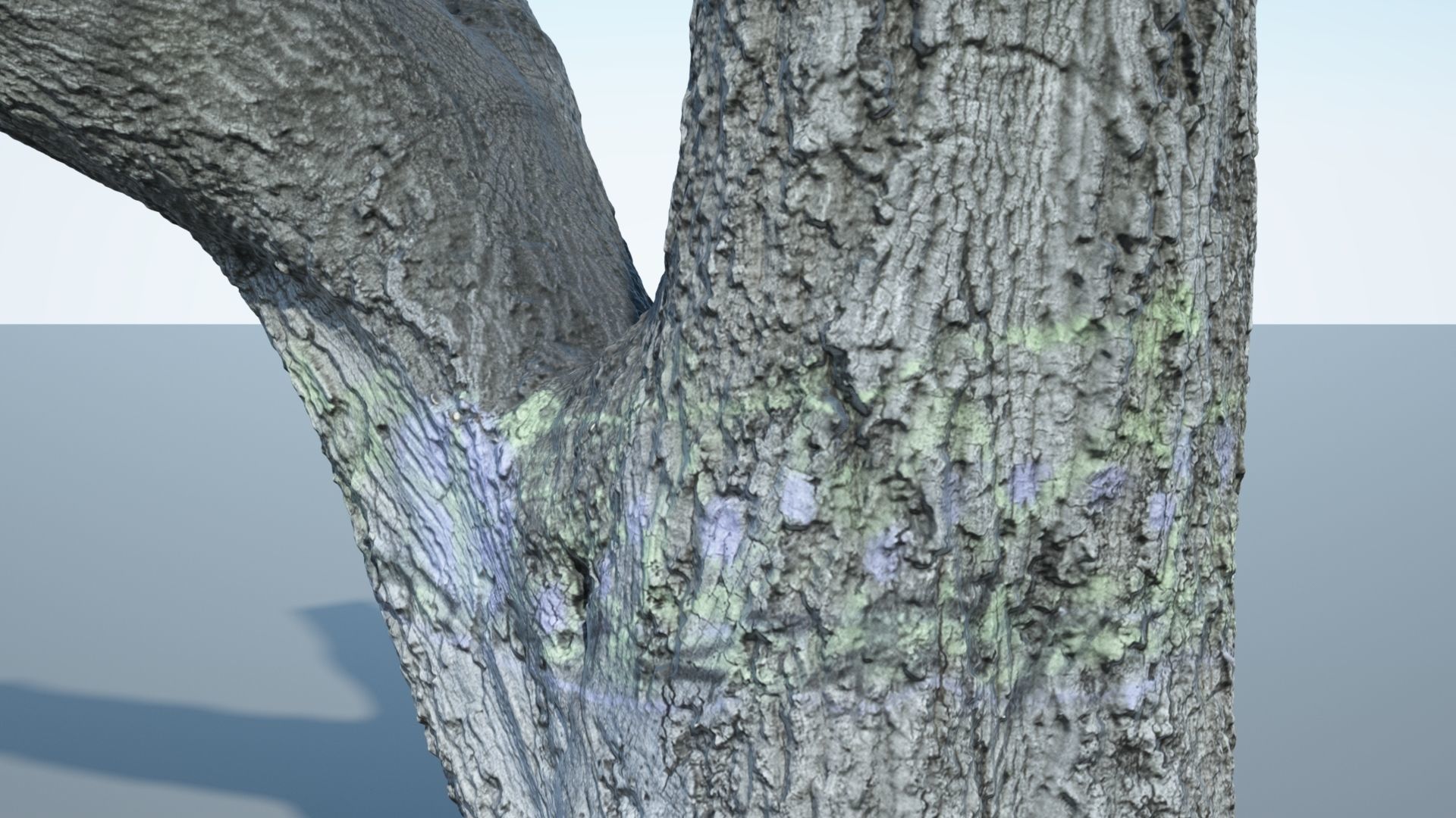 Tree Trunk - 10 3D model_7