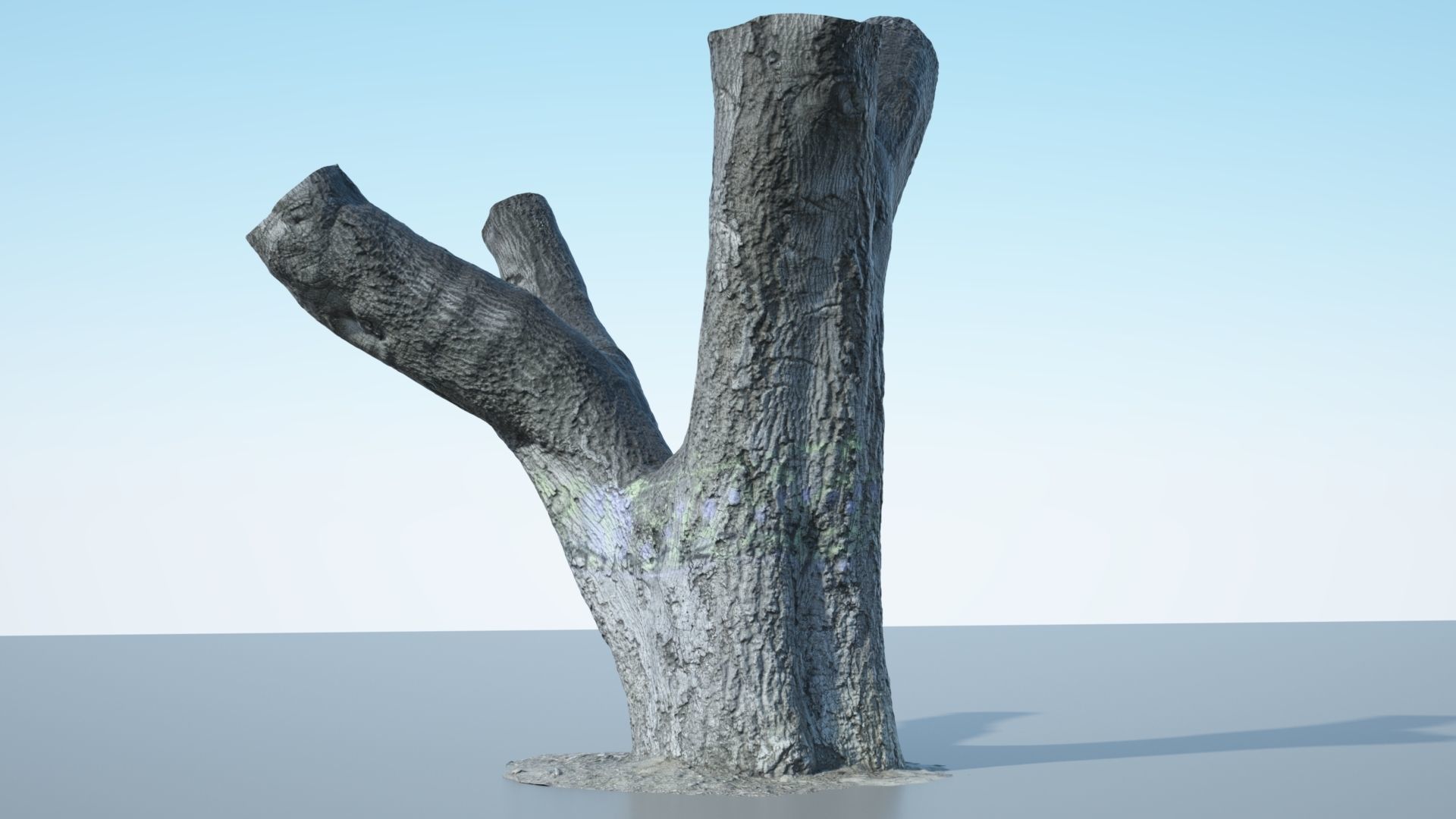 Tree Trunk - 10 3D model_6
