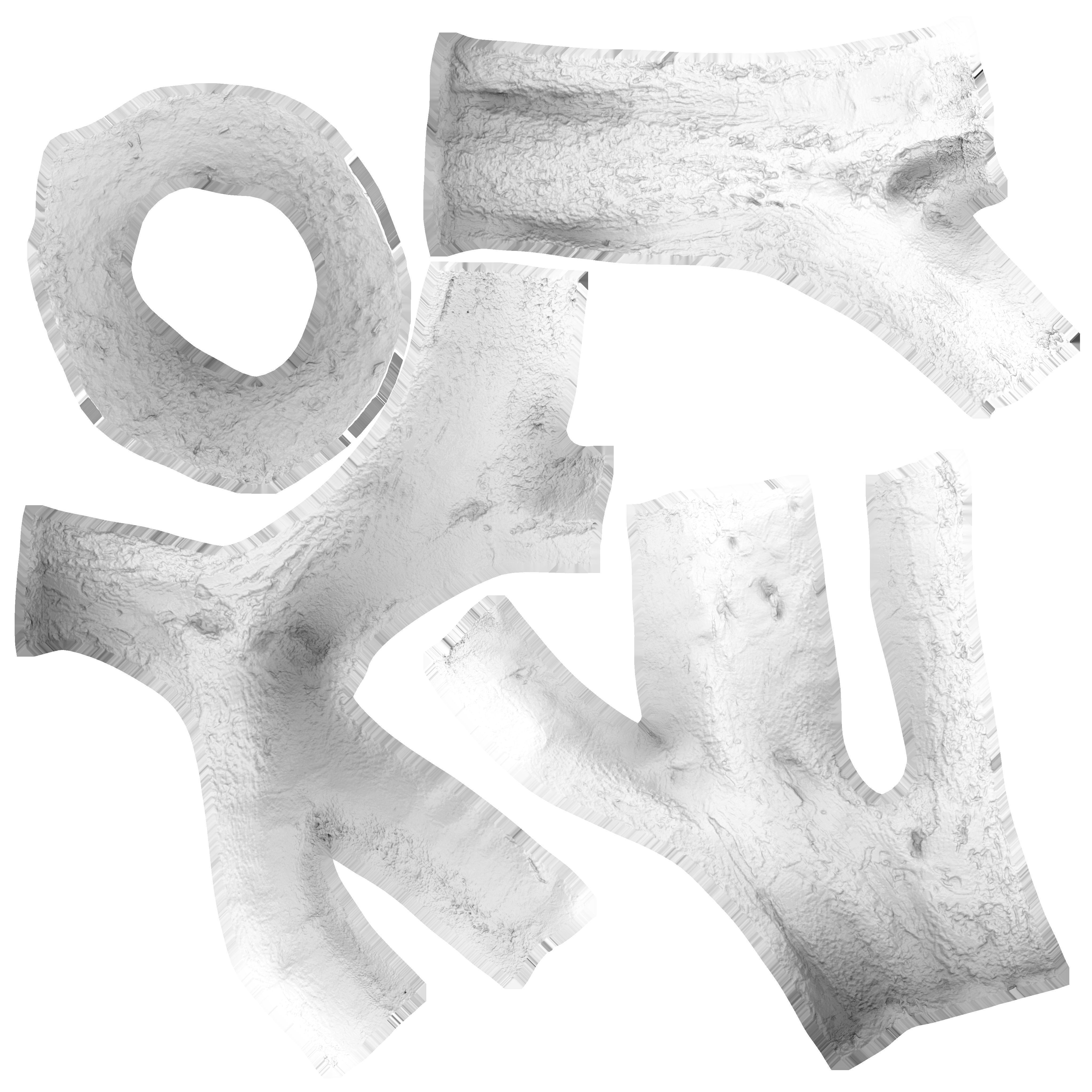 Tree Trunk - 10 3D model_16