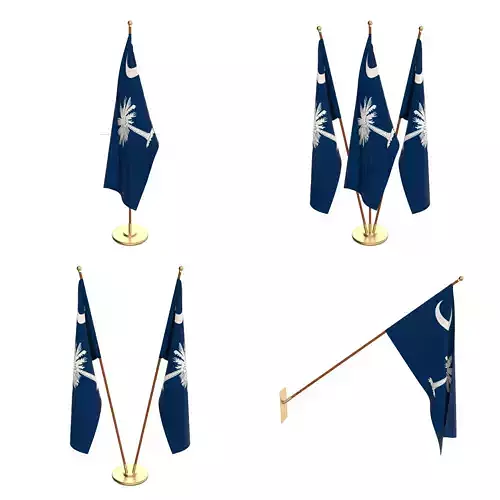 South Carolina Flag Pack 3D model