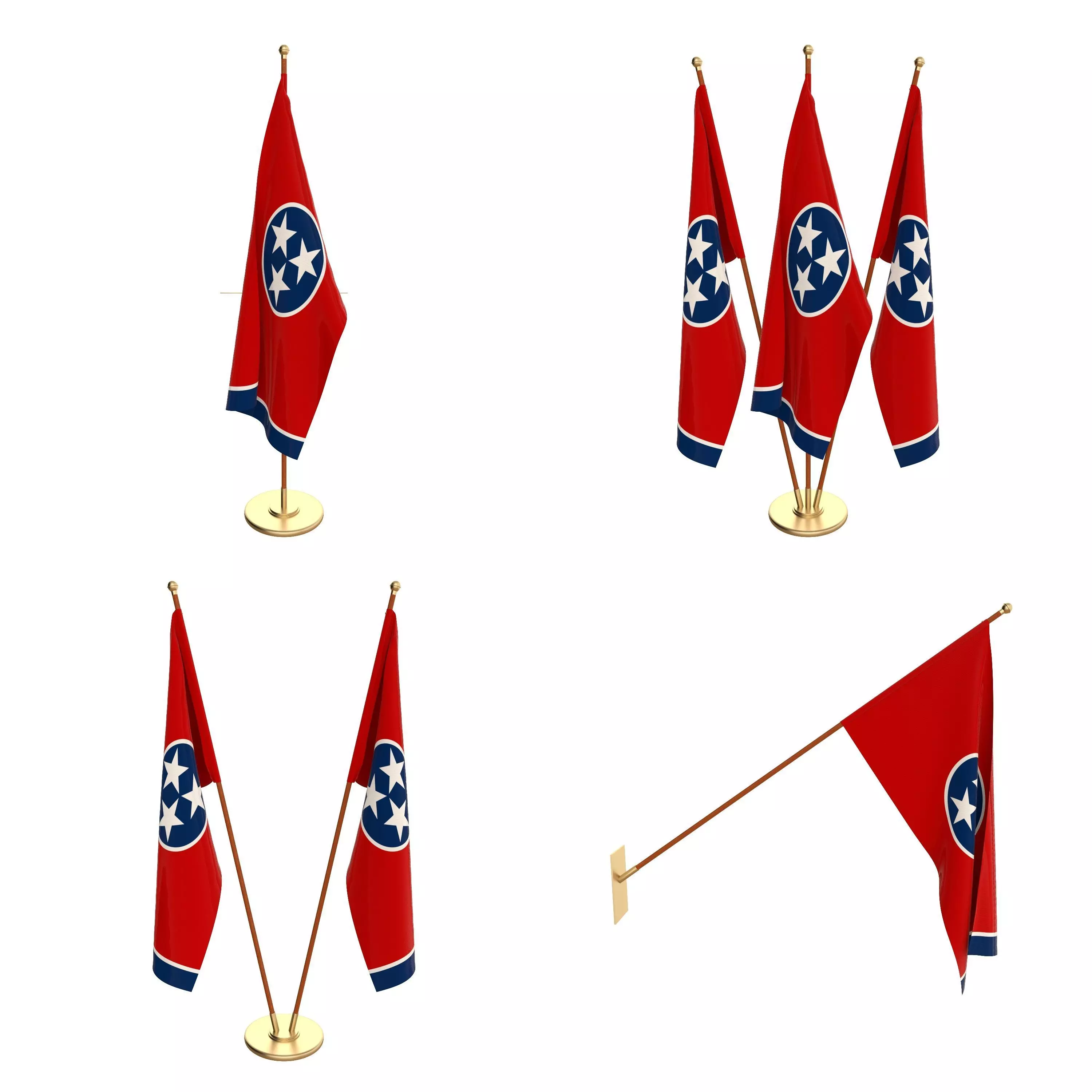 Tennessee Flag Pack 3D model_0