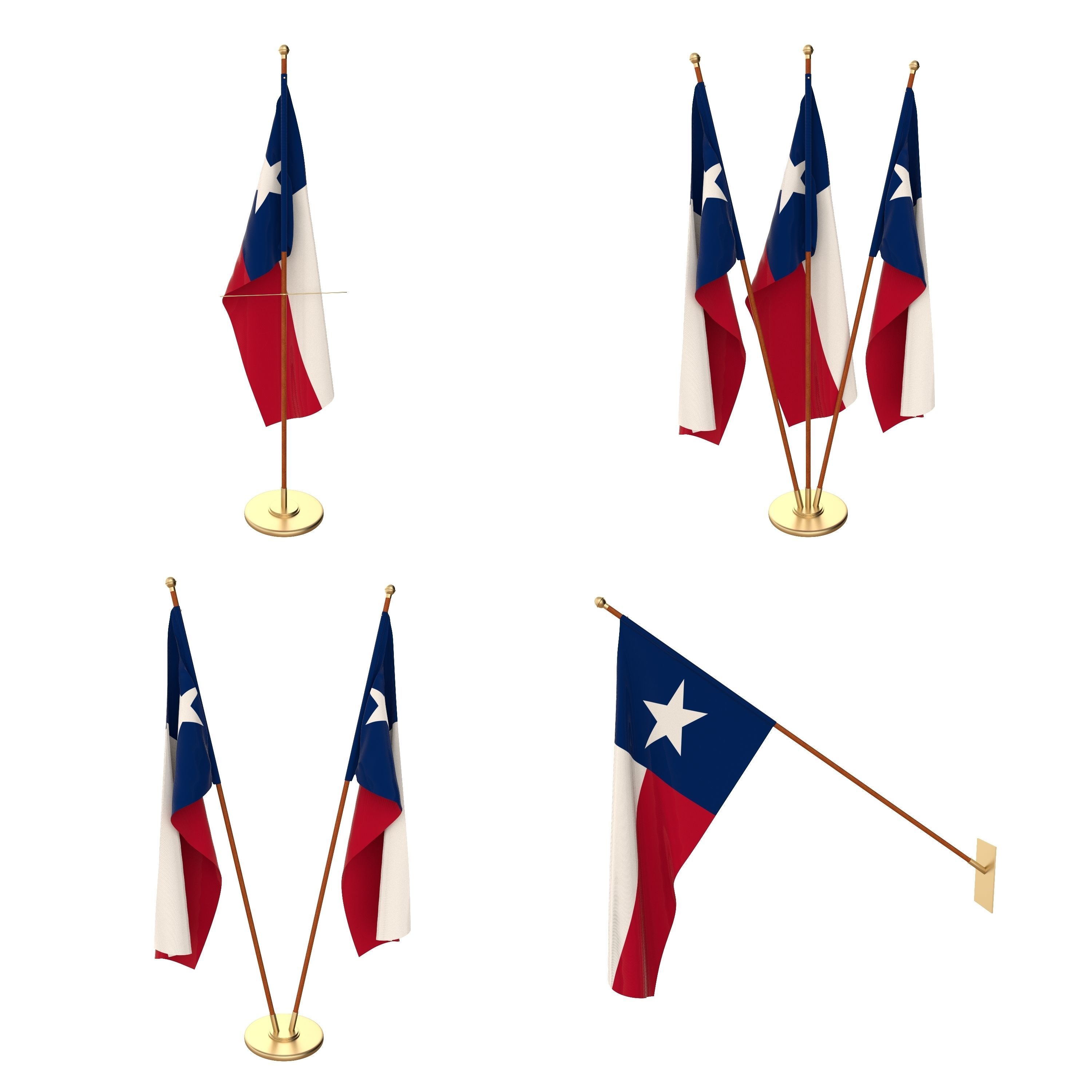 Texas Flag Pack 3D model_1