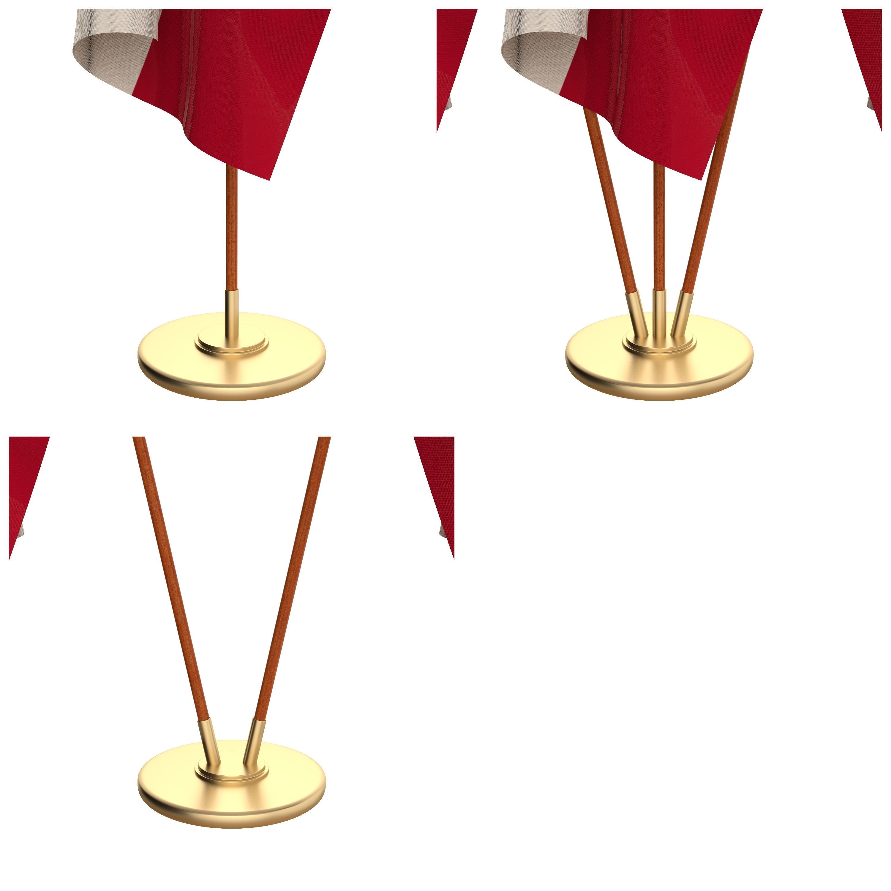 Texas Flag Pack 3D model_2