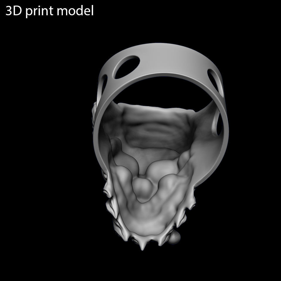 Skull ring jewelry bearded vol5  3D print model_8