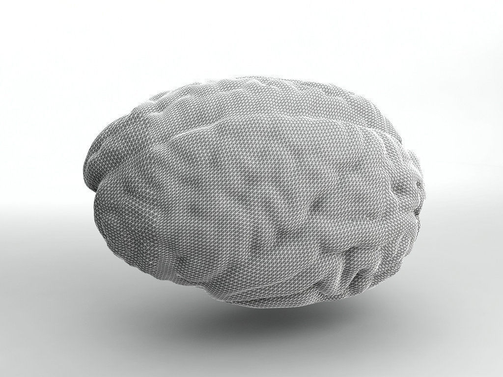 Human Brain 3D model_3