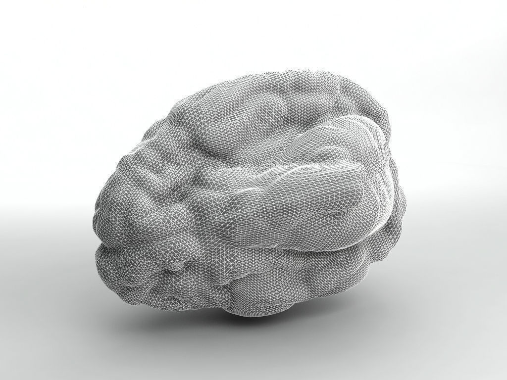 Human Brain 3D model_4