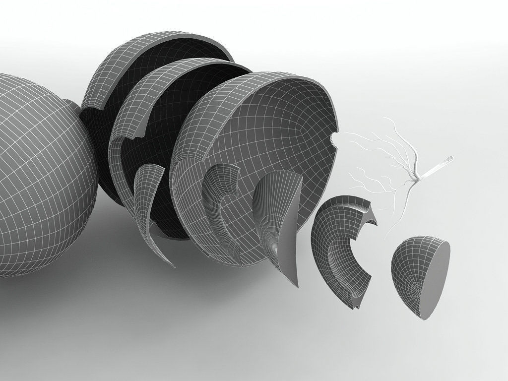 Human Eye With Cutaway 3D model_4