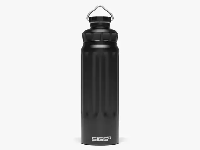 Sigg Water Bottle