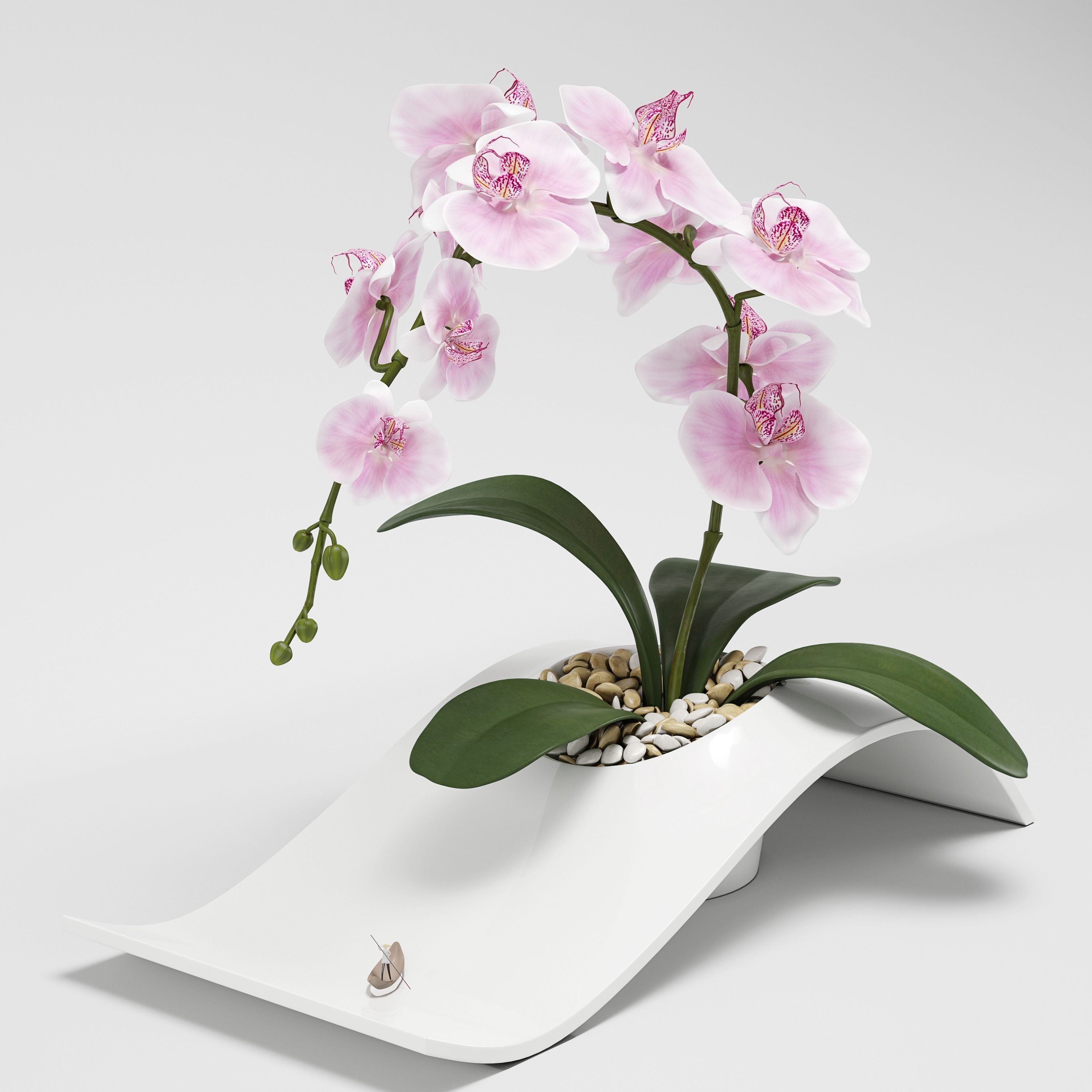 Orchid Arrangement 3D model_1