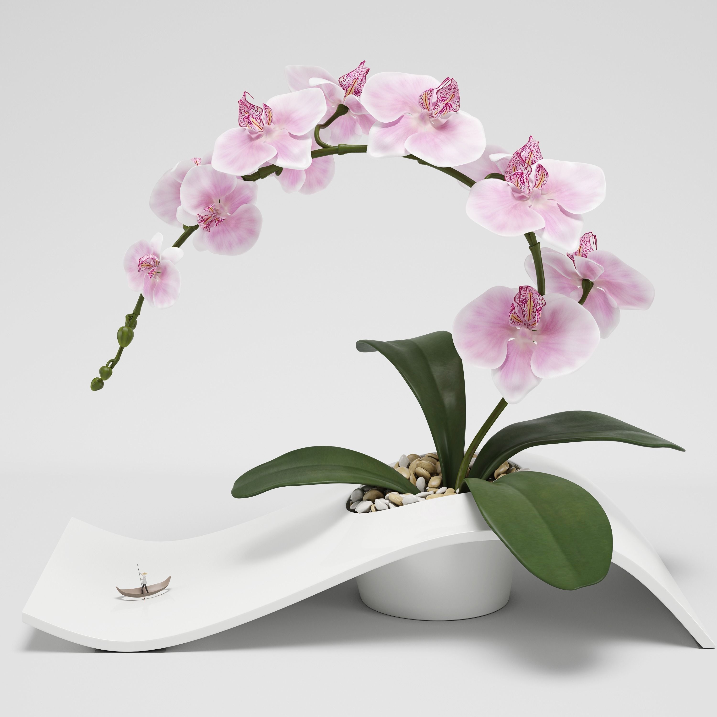 Orchid Arrangement 3D model_0