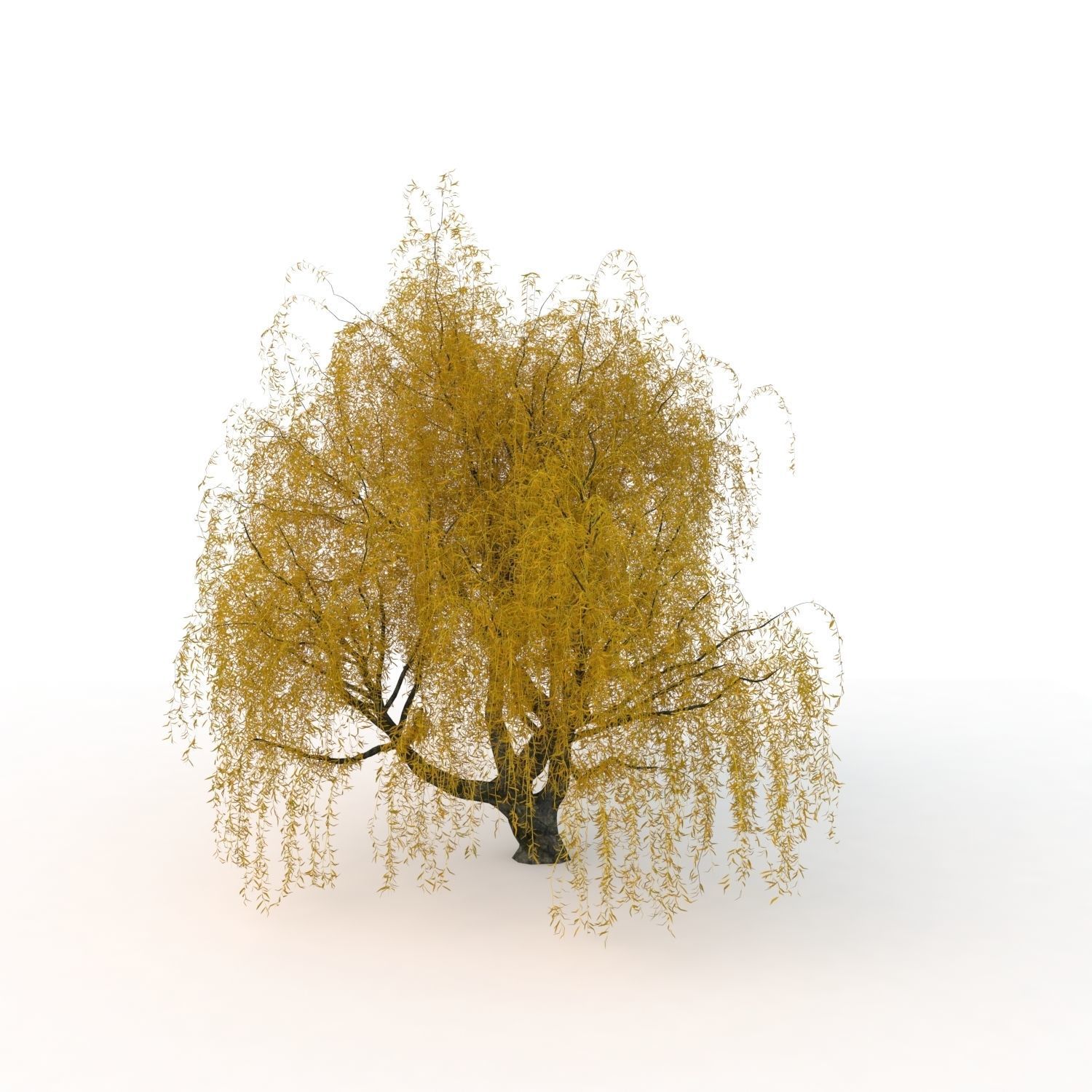 willow trees 3D Model Collection_14