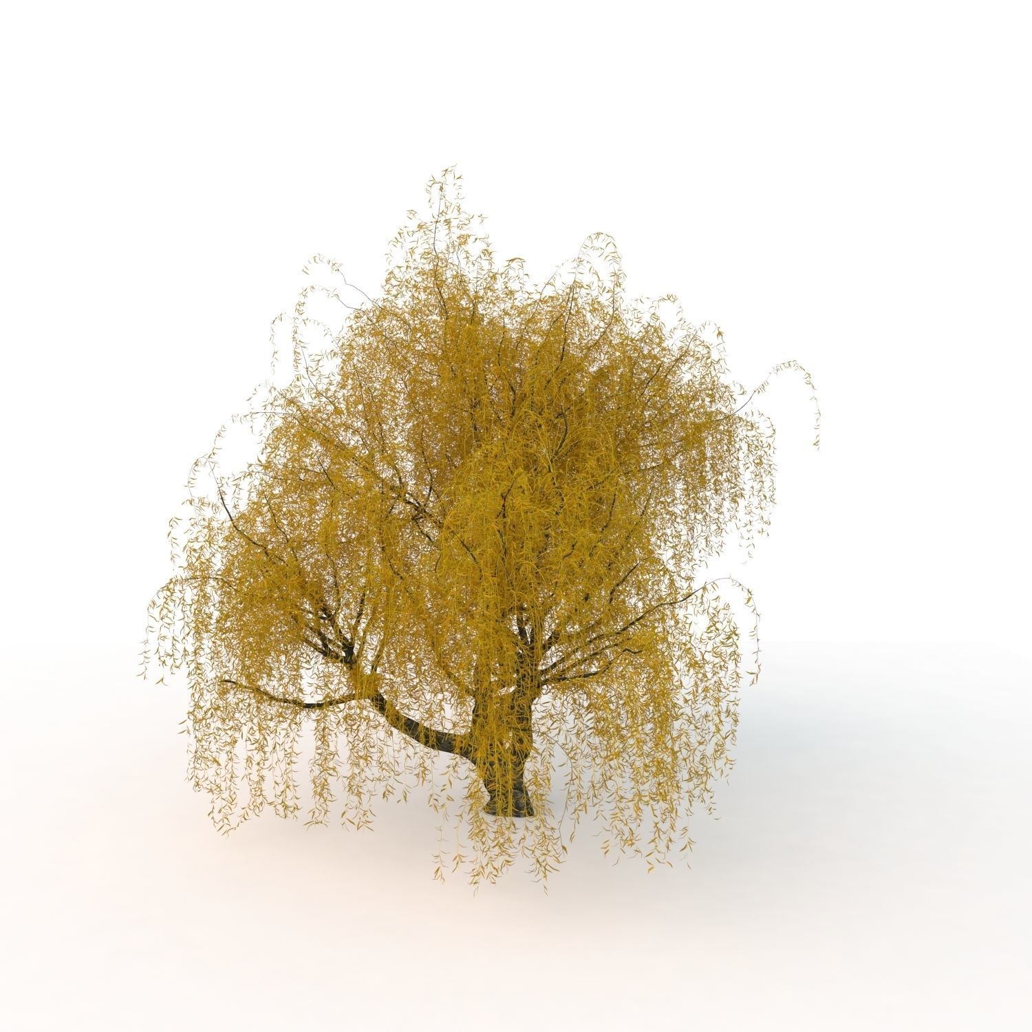 willow trees 3D Model Collection_33