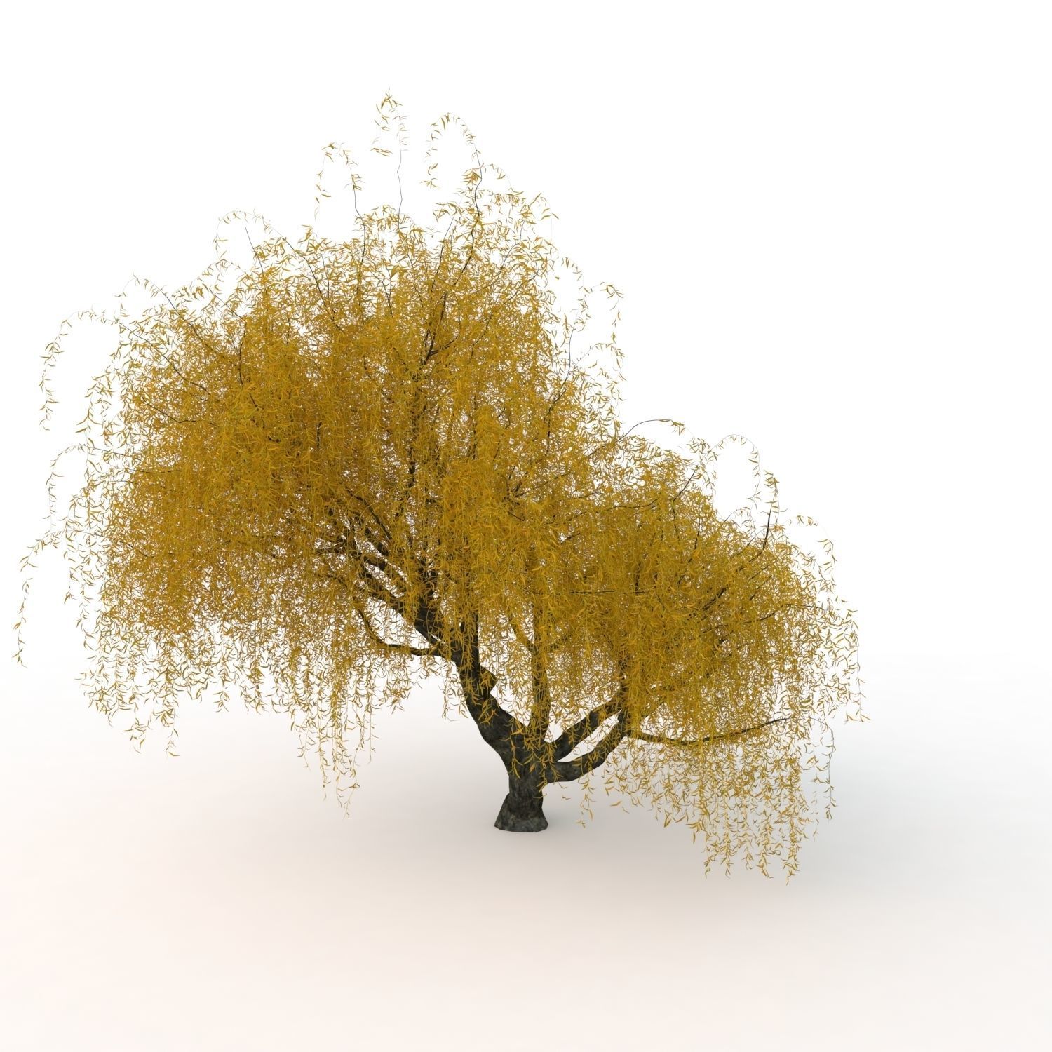 willow trees 3D Model Collection_18