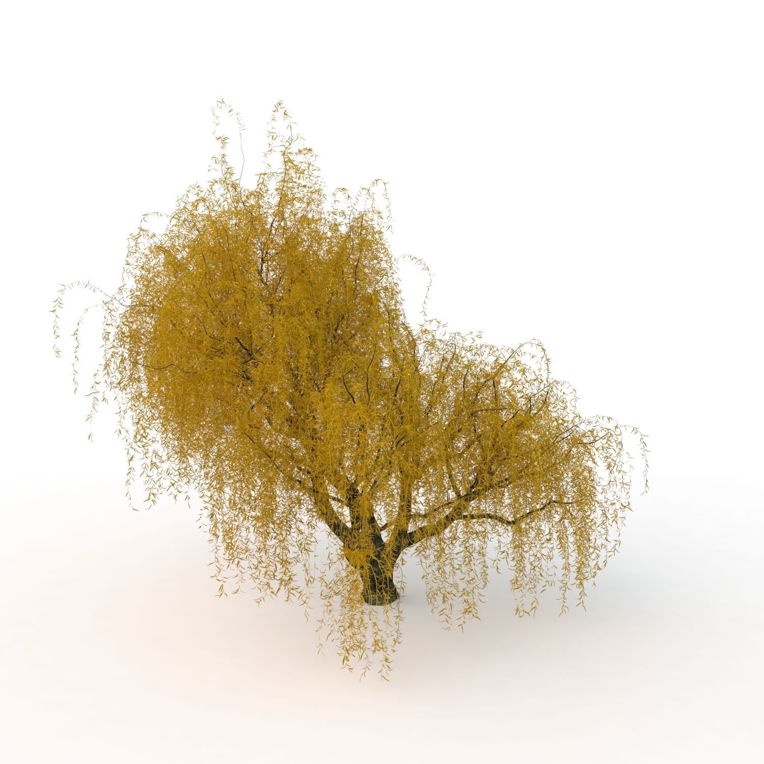 willow trees 3D Model Collection_19