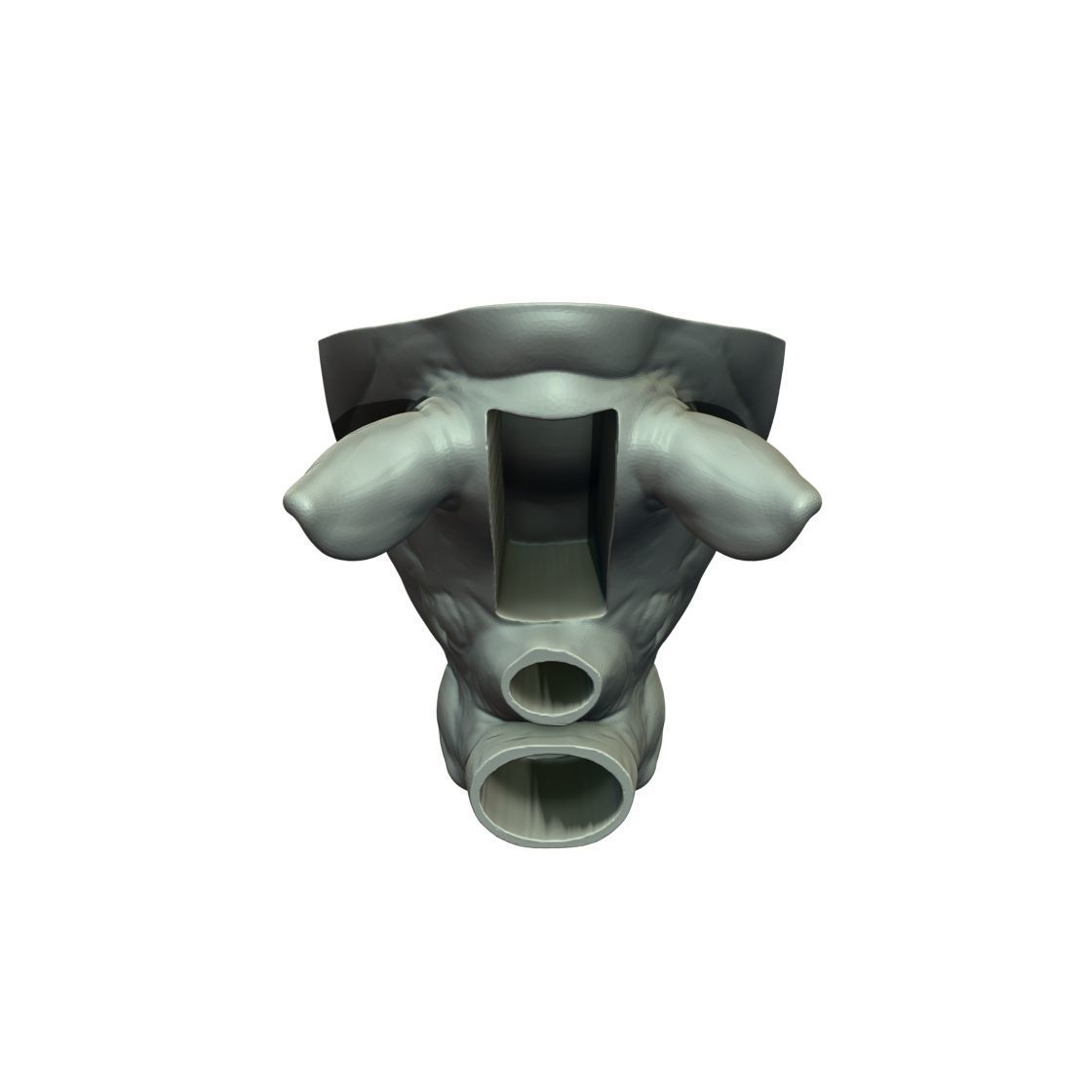 Rhinoceros Head Plant Pot  3D print model_6