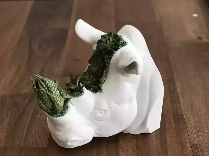 Rhinoceros Head Plant Pot  3D print model