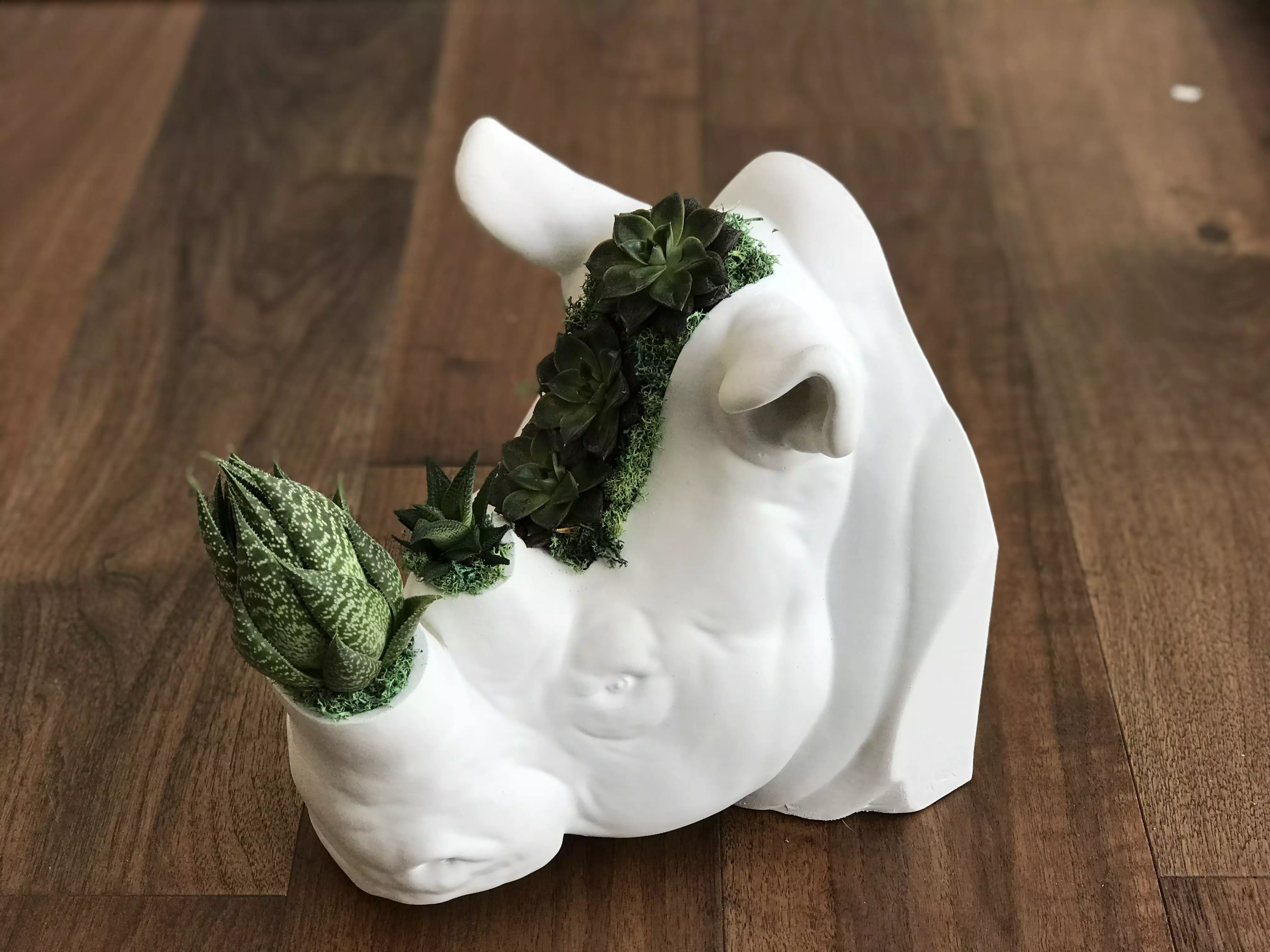 Rhinoceros Head Plant Pot  3D print model_0