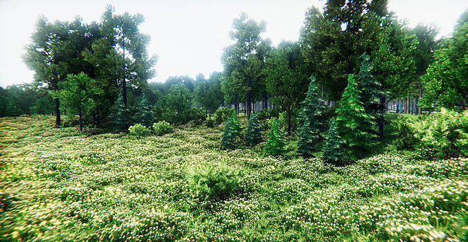 European Vegetation Pack One Unity Low-poly 3D model