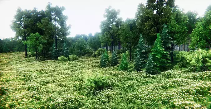 European Vegetation Pack One Unity