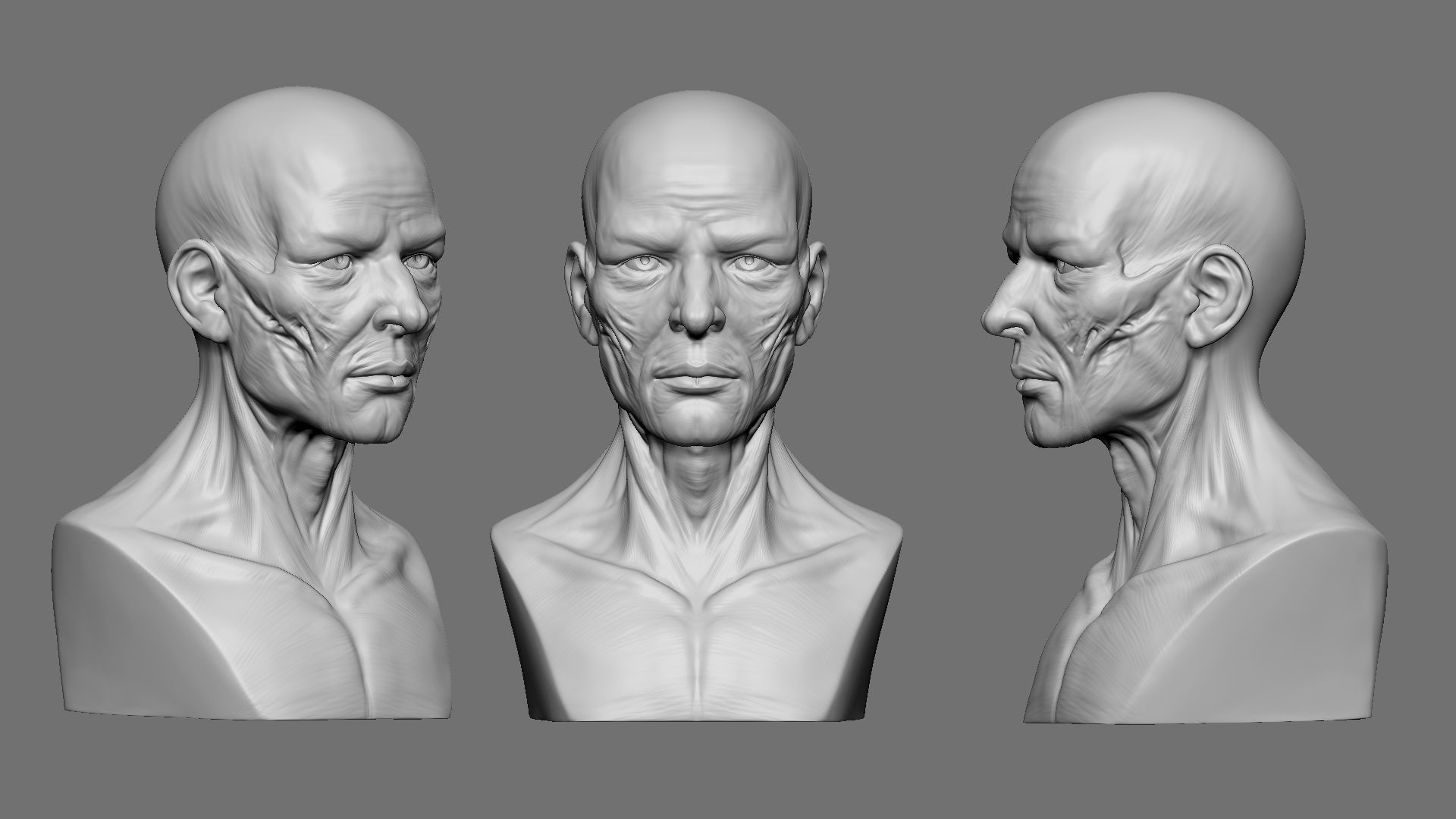 Stylized Anatomy Face 3D print model_5