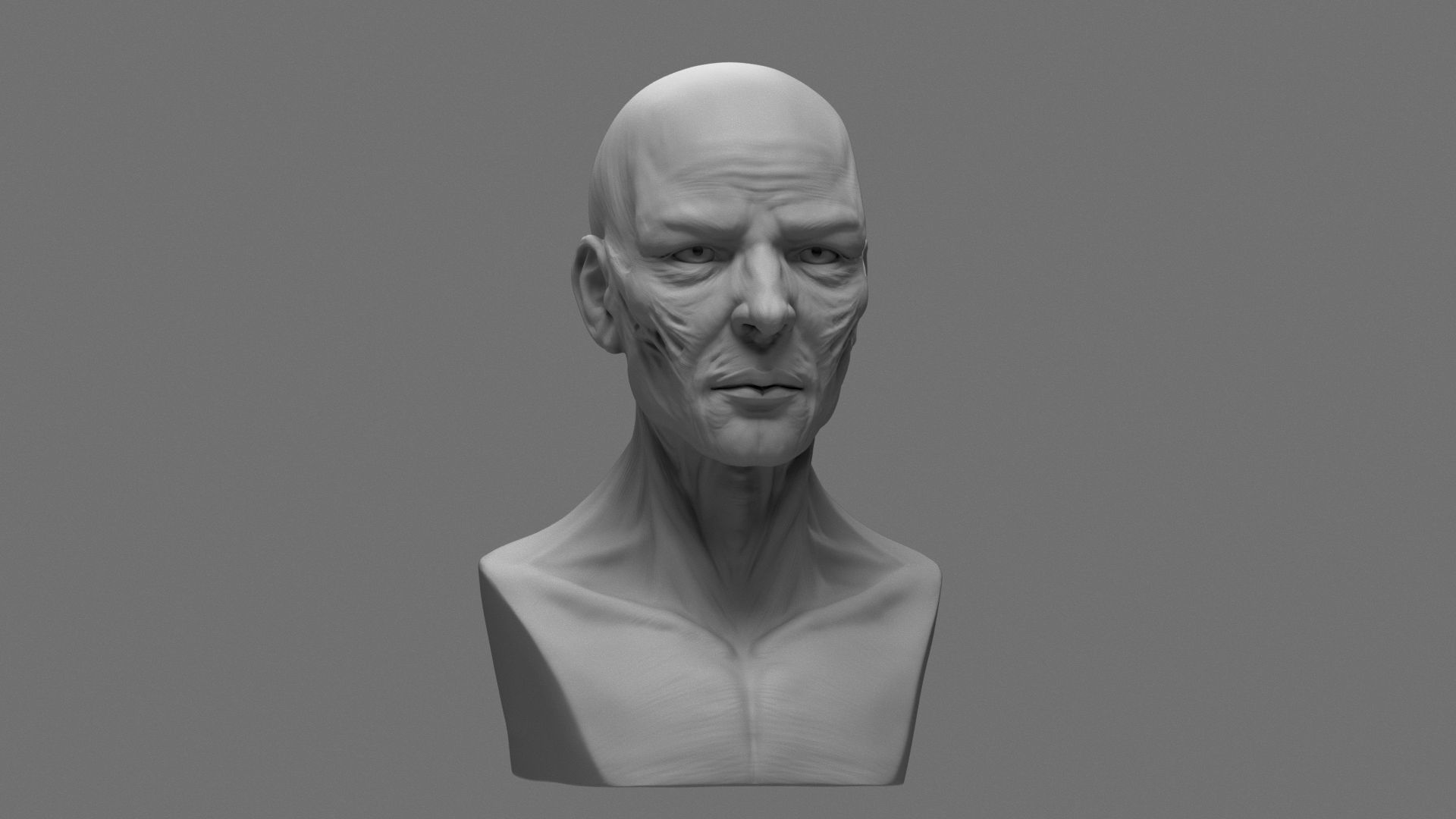 Stylized Anatomy Face 3D print model_4