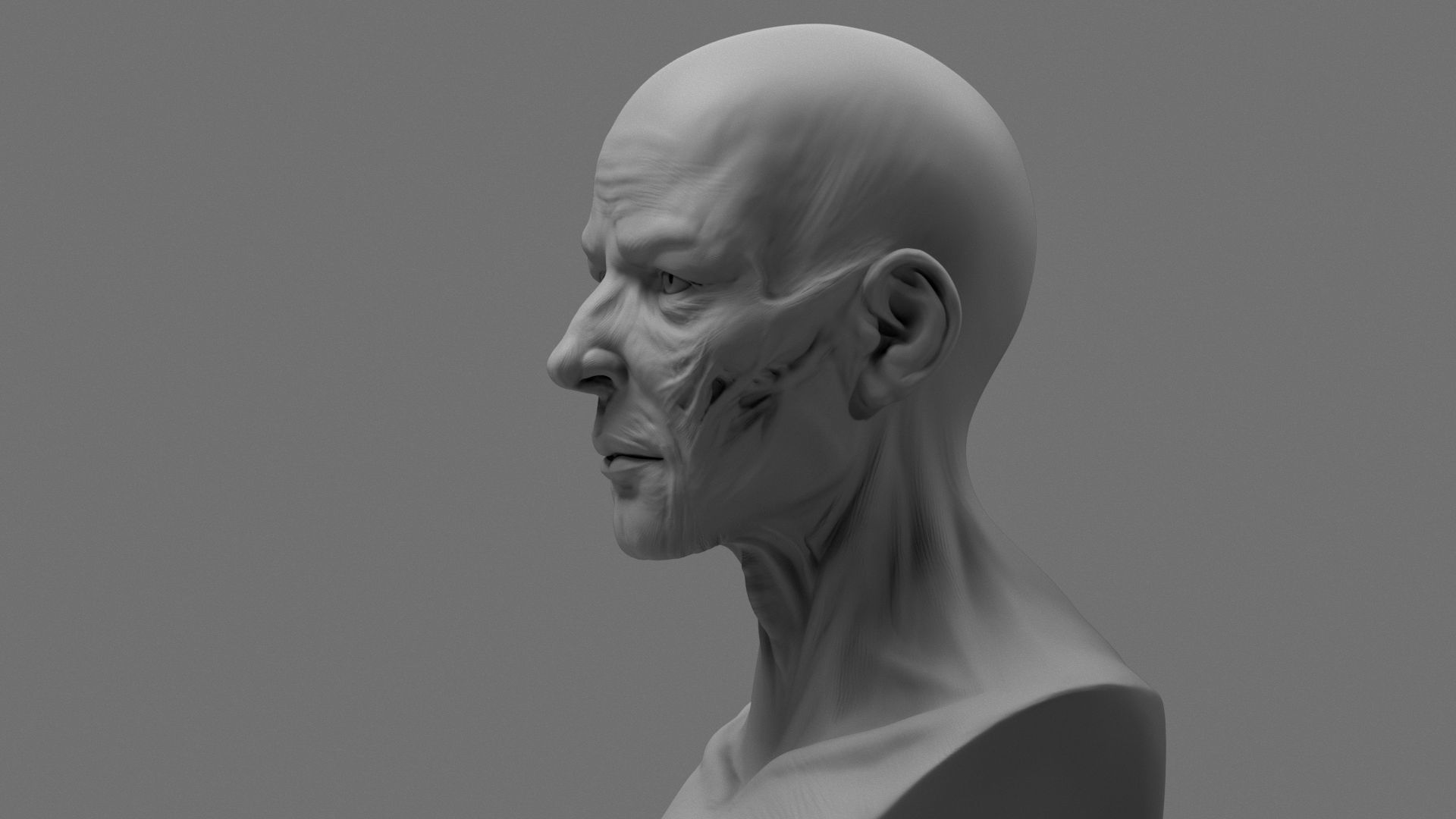 Stylized Anatomy Face 3D print model_2