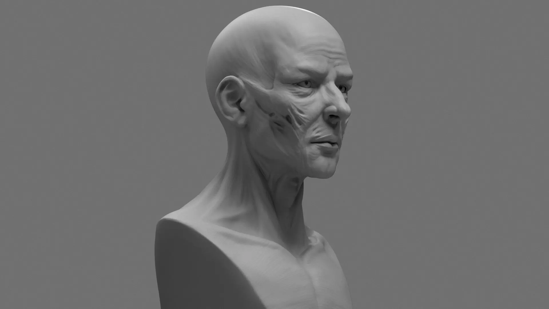 Stylized Anatomy Face 3D print model_0