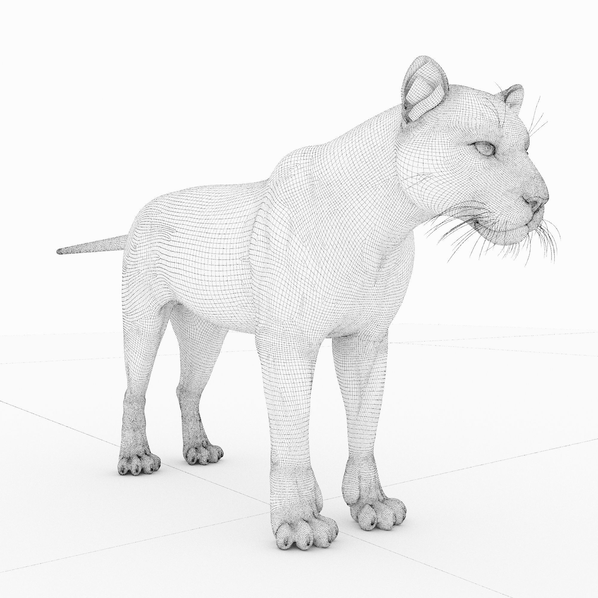 Jaguar4 leopard 3D model_7