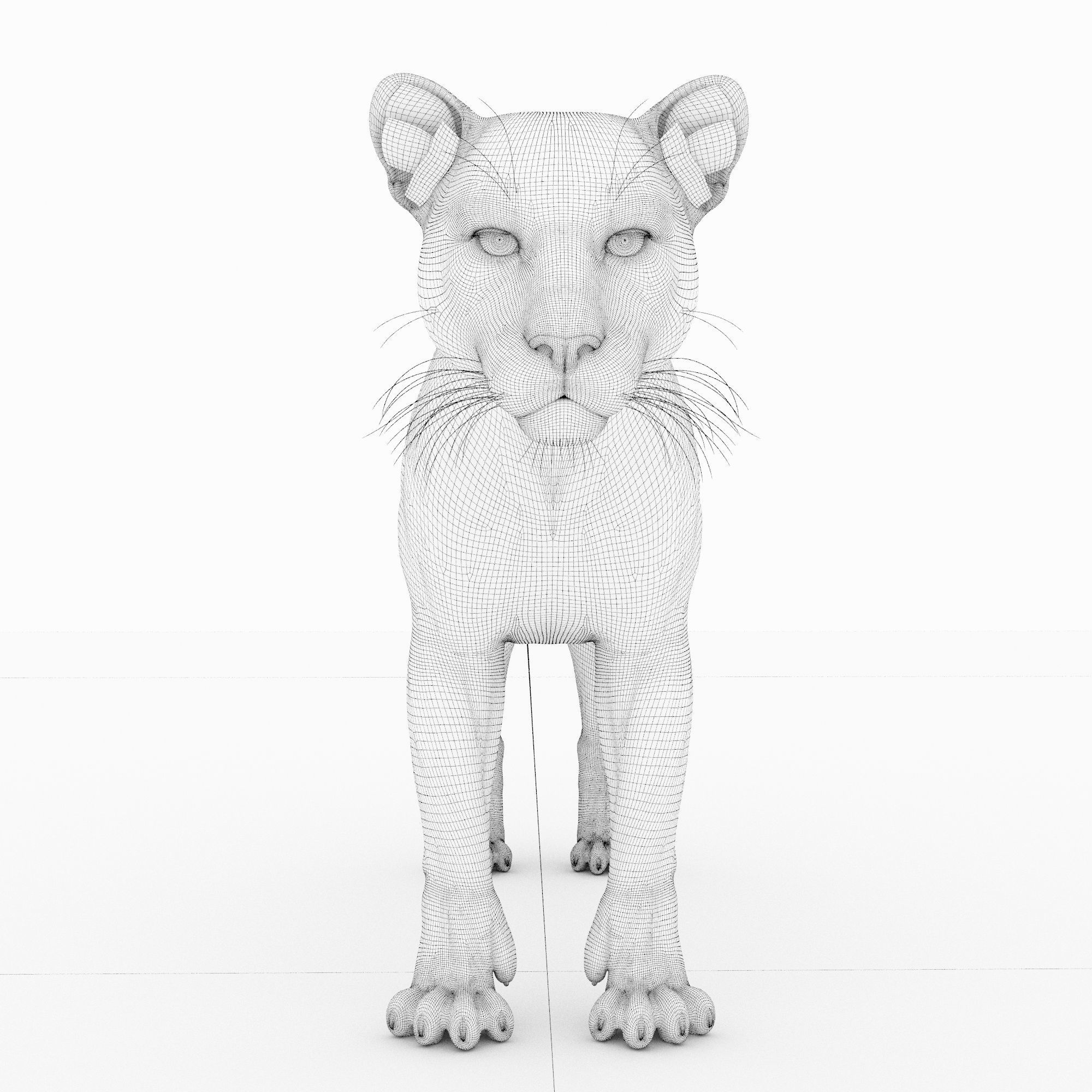 Jaguar4 leopard 3D model_10