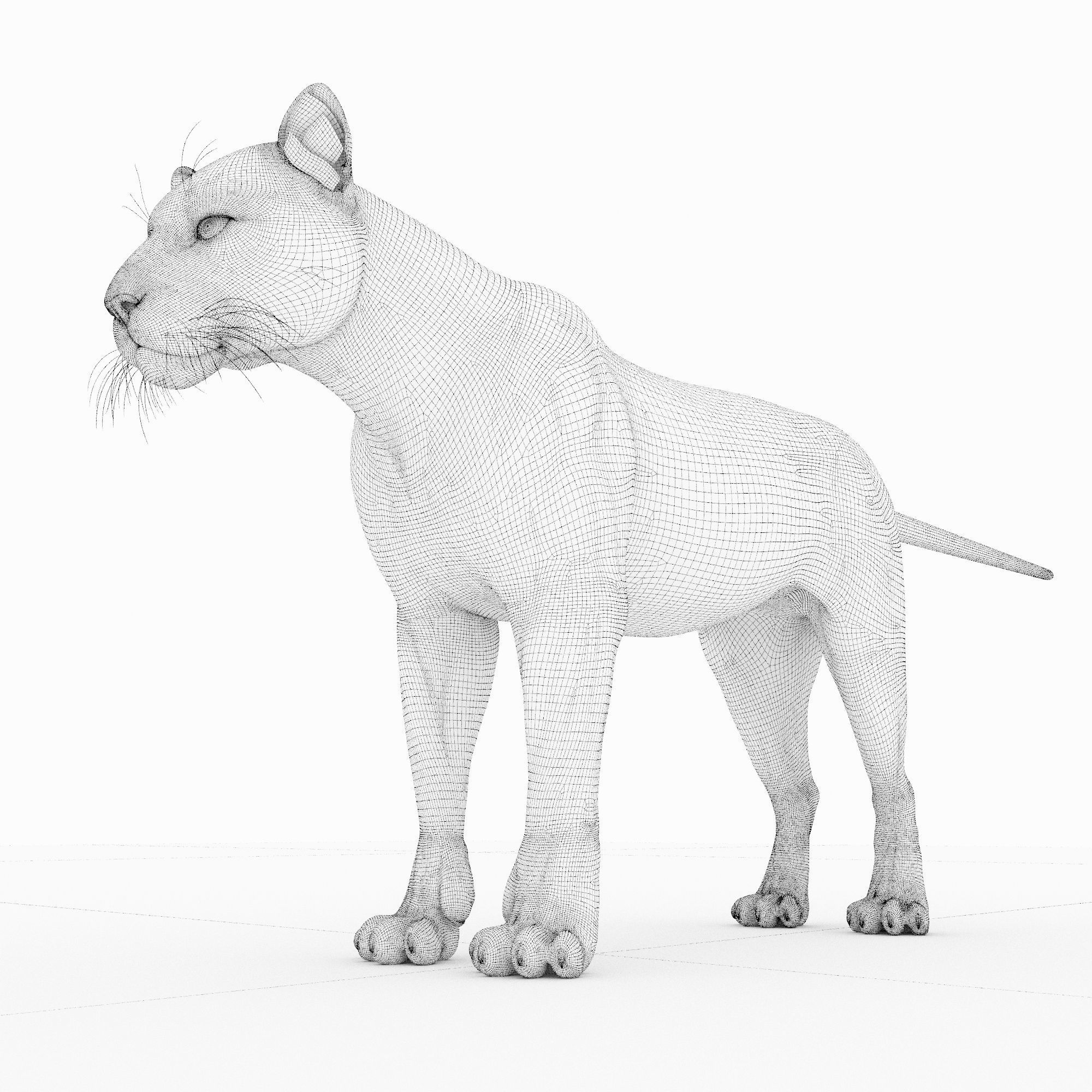 Jaguar4 leopard 3D model_9