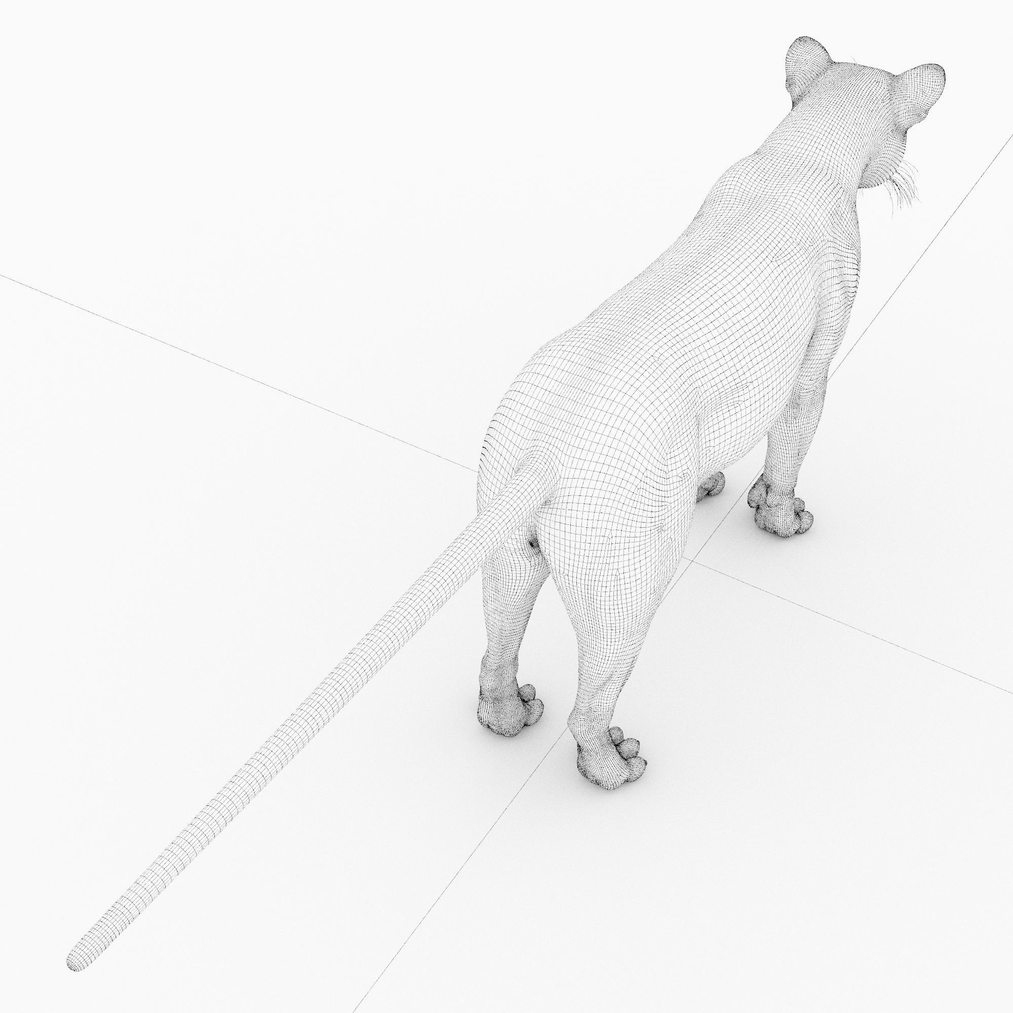 Jaguar4 leopard 3D model_8