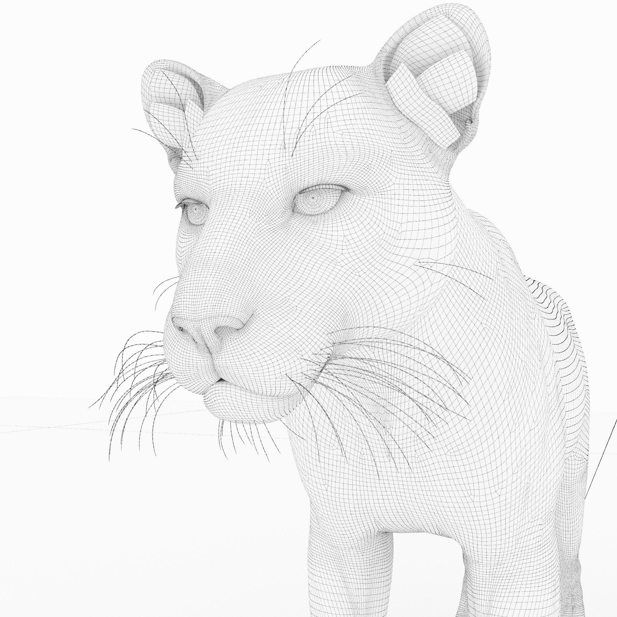 Jaguar4 leopard 3D model_6