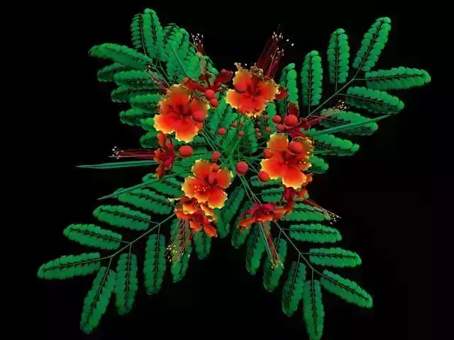 Flower Barbados Low-poly 3D model