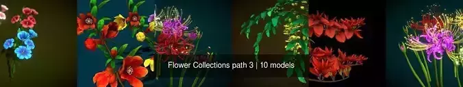 Flower Collections path 3 