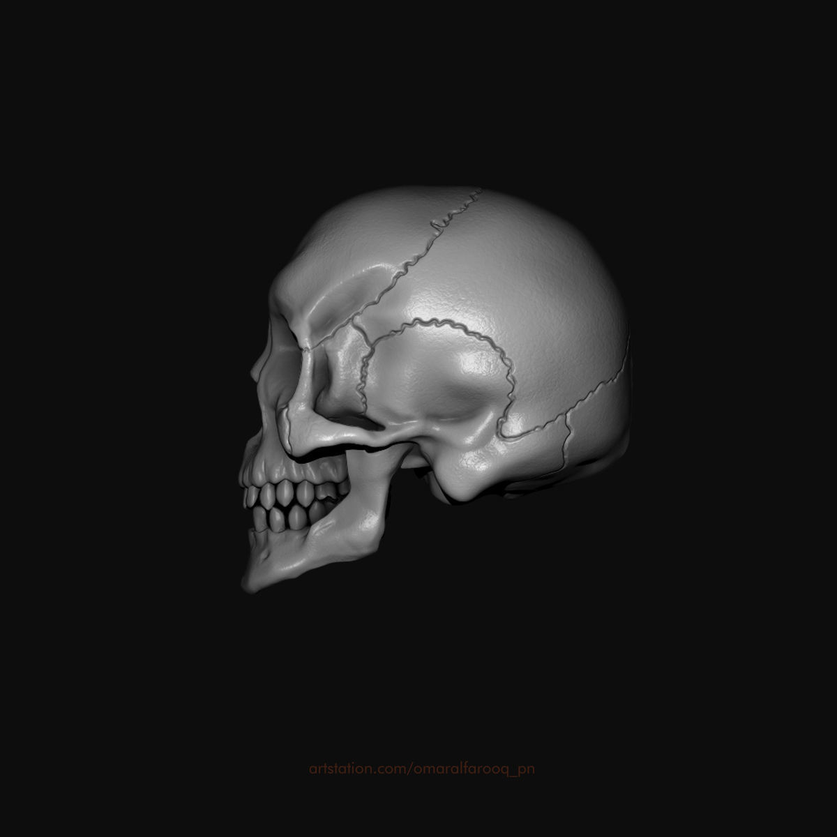 Human Skull Model 3D model_1
