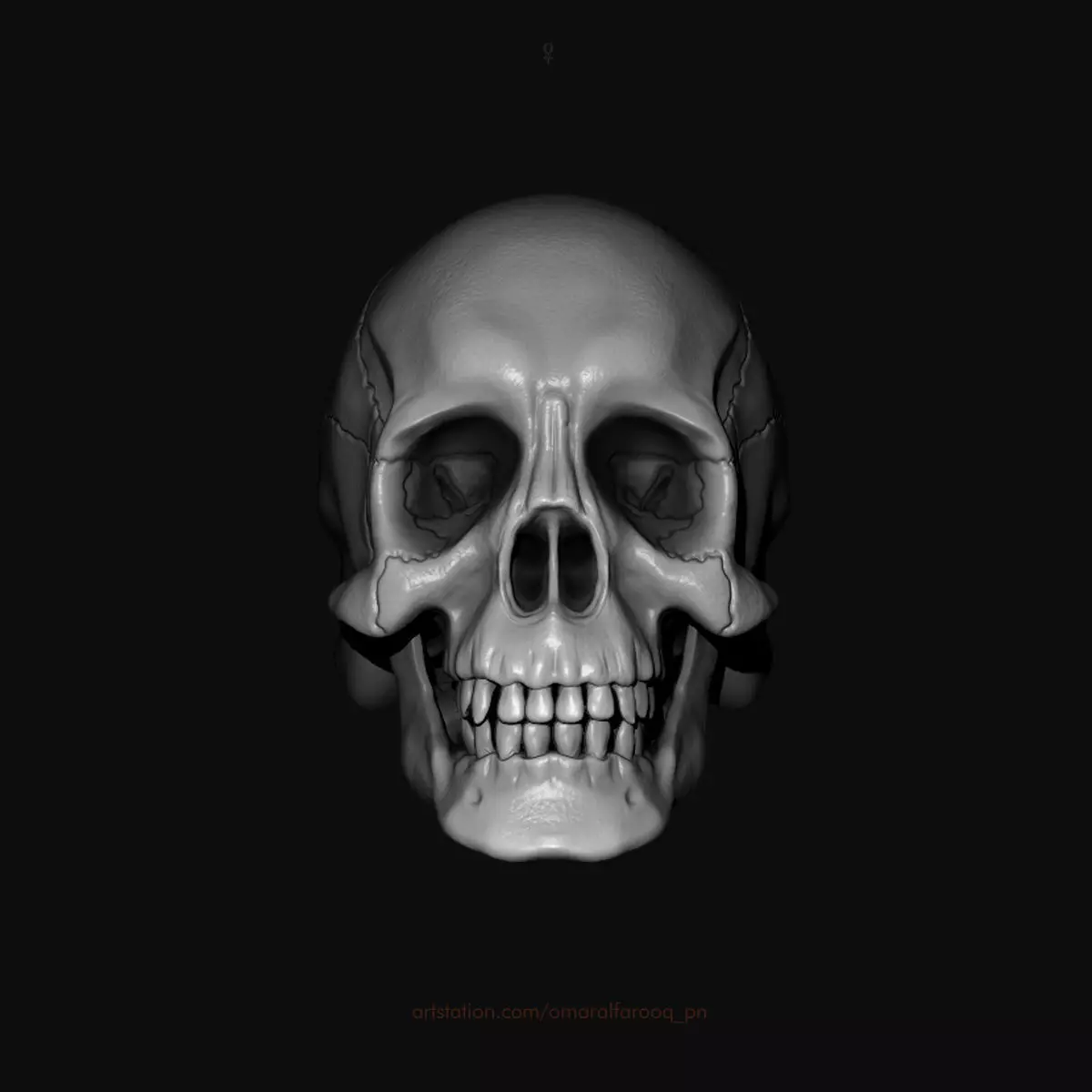 Human Skull Model 3D model_0